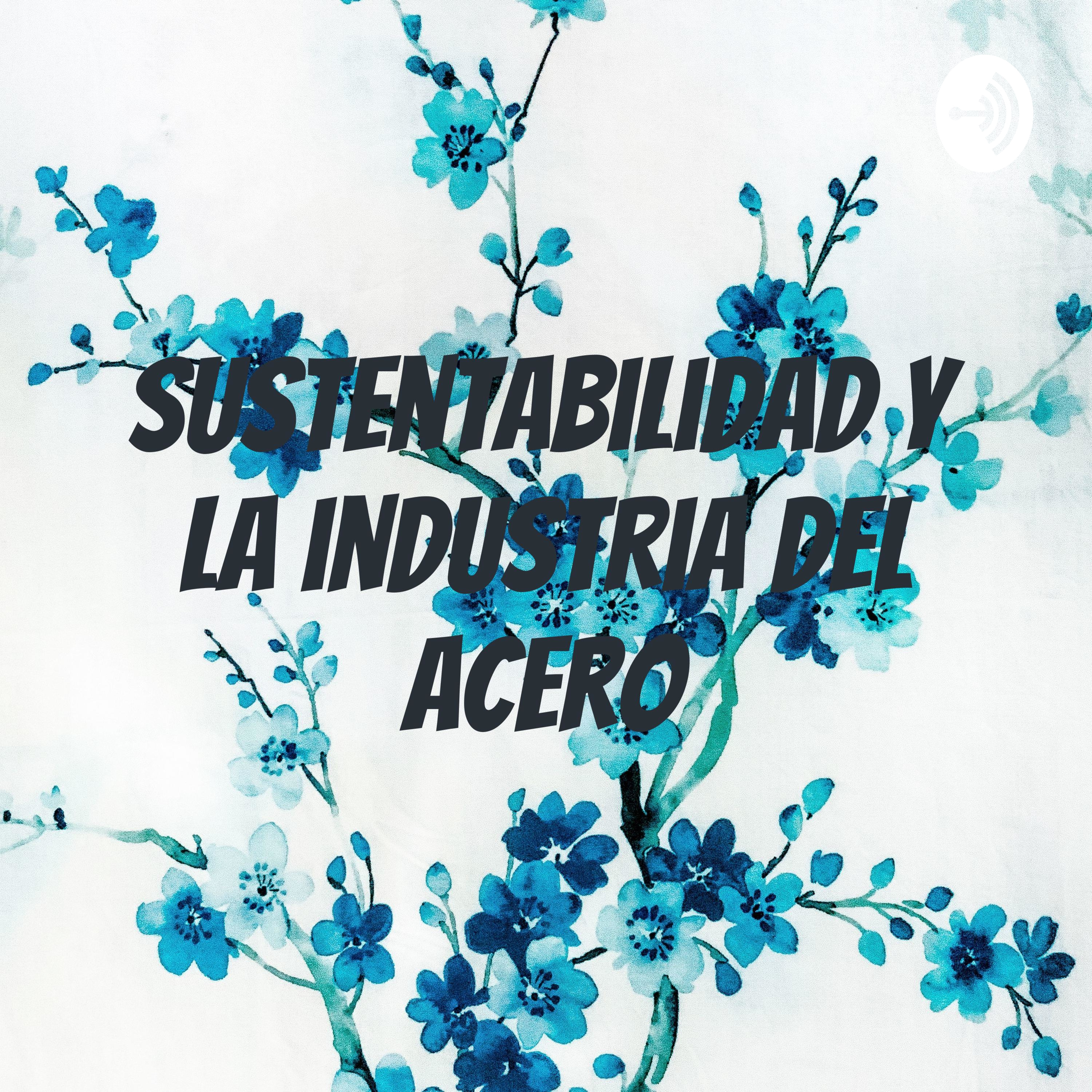 Sustentabilidad y la industria del acero