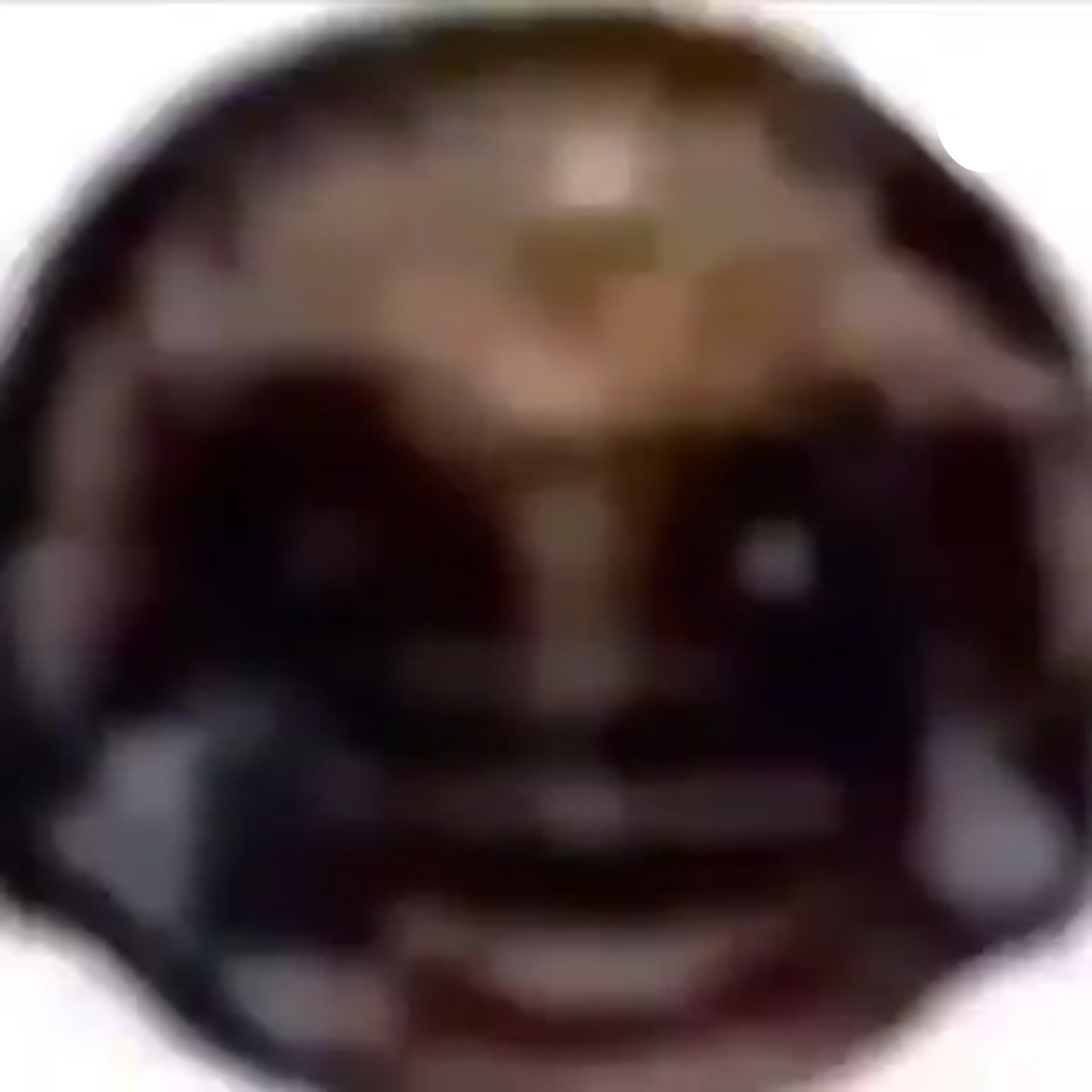 2020 Election Podcast