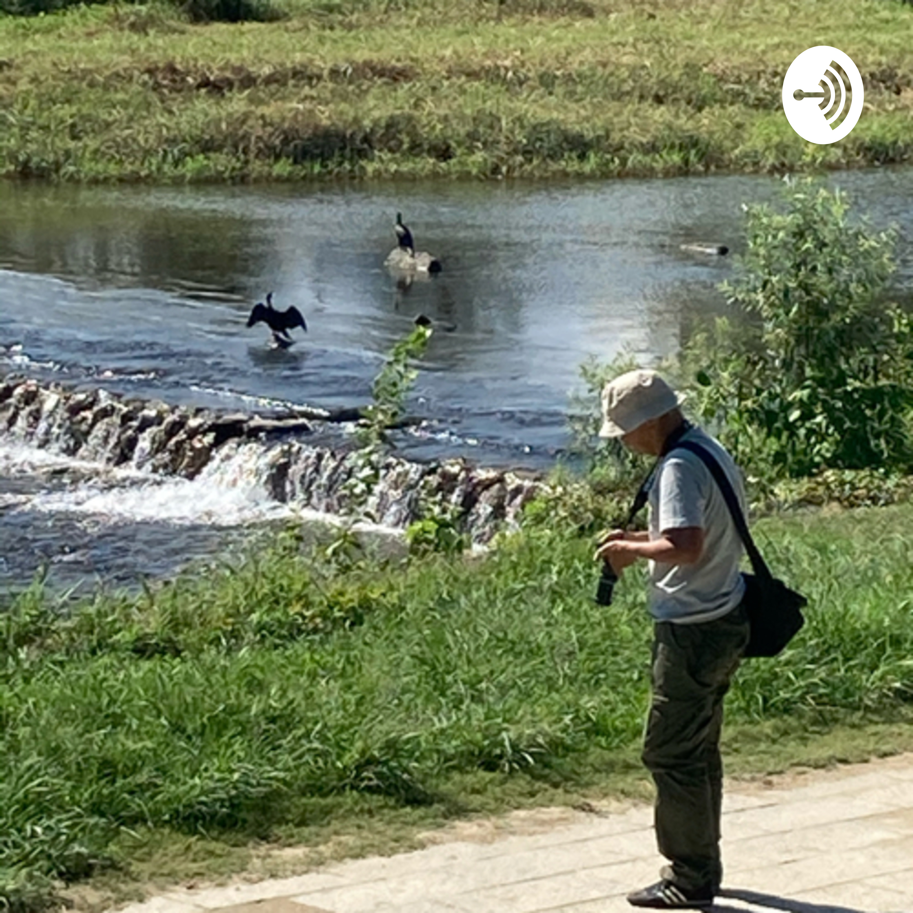 しゅーしのおさんぽどきゃすと