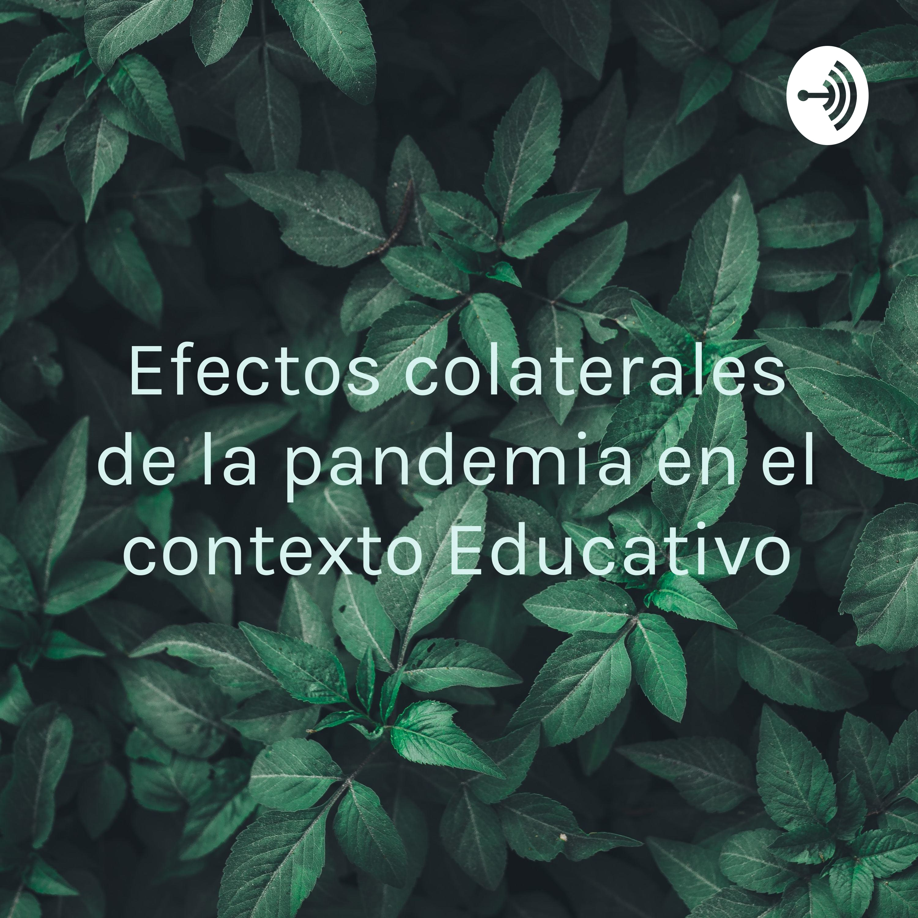 Efectos colaterales de la pandemia en el contexto Educativo