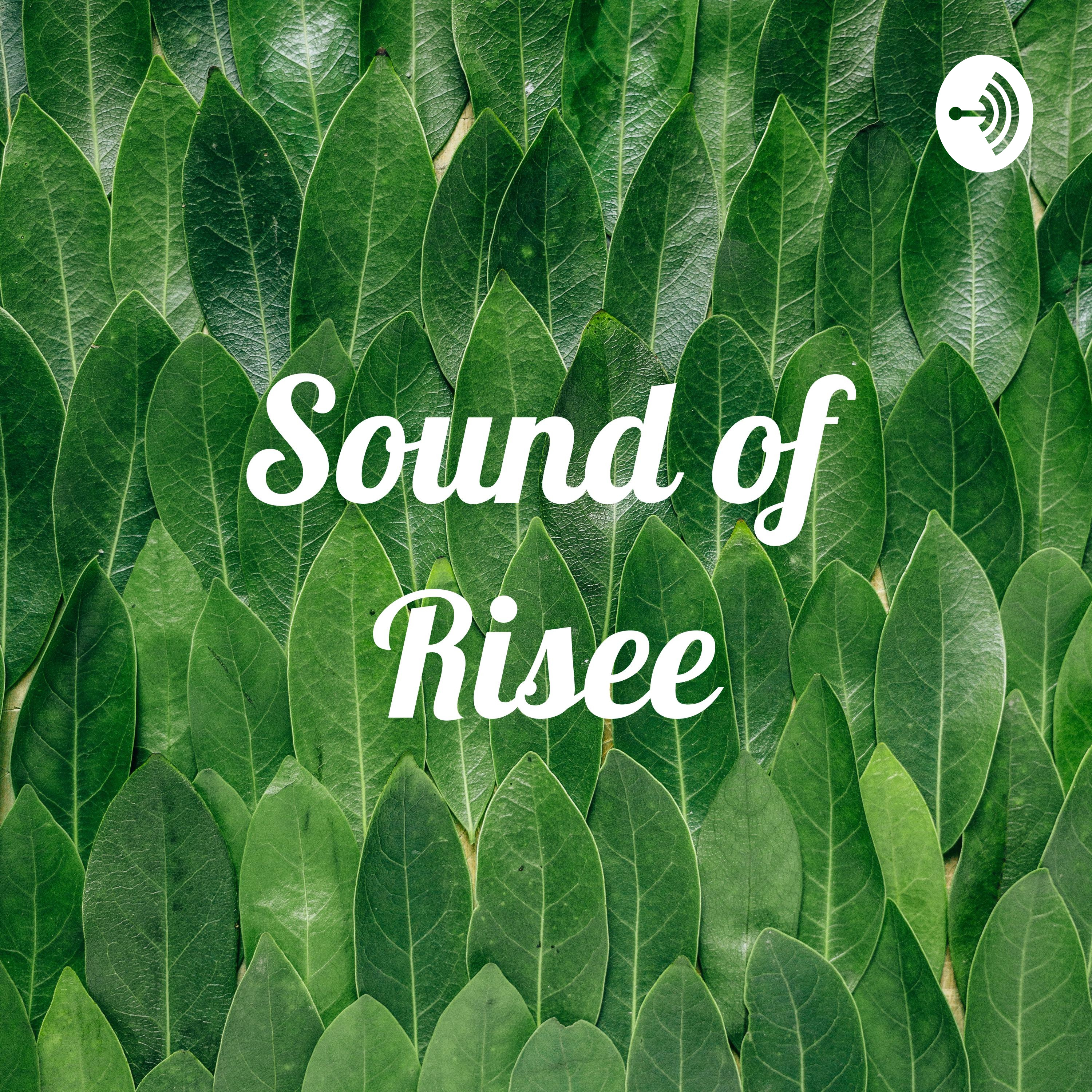 Sound of Risee
