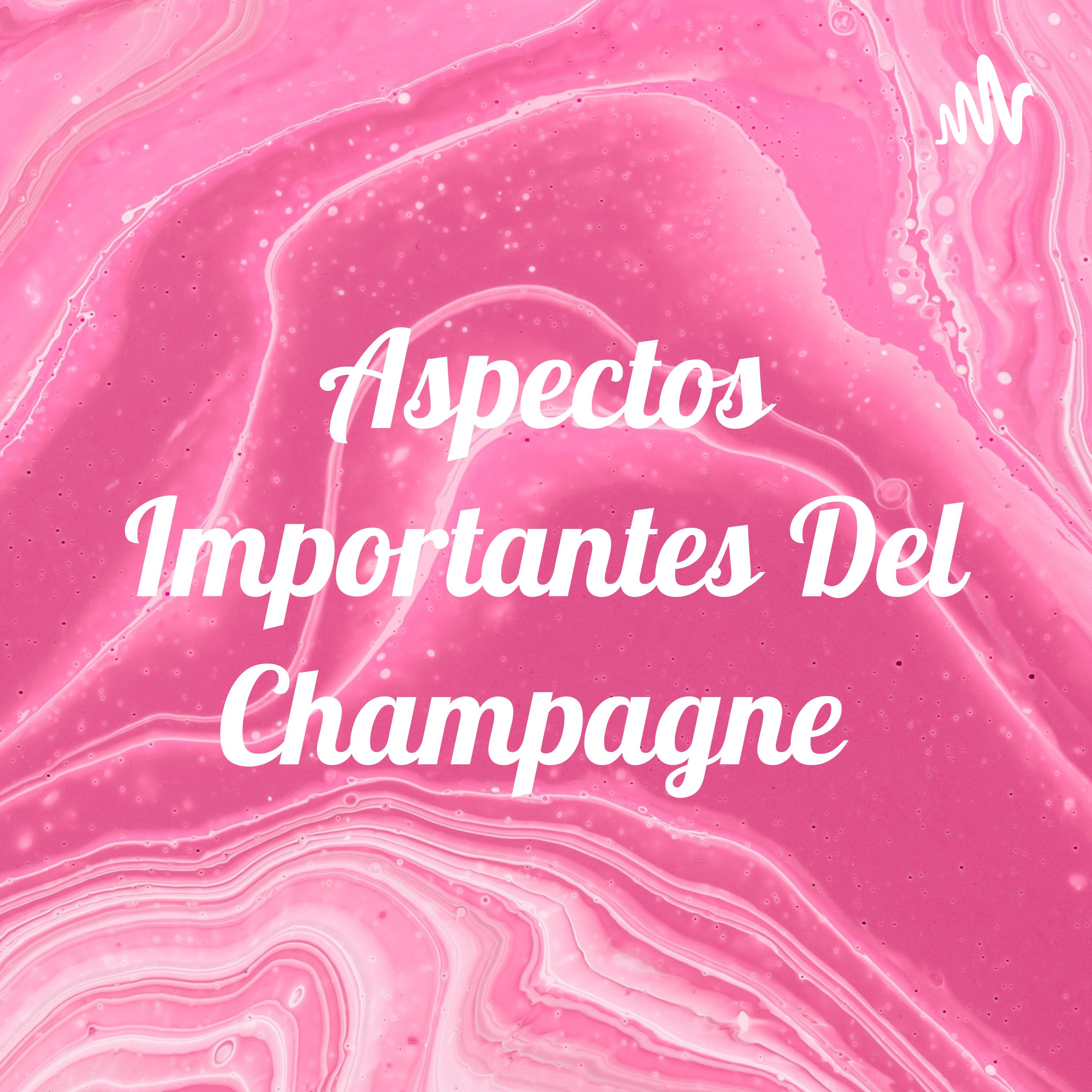 Aspectos Importantes Del Champagne 