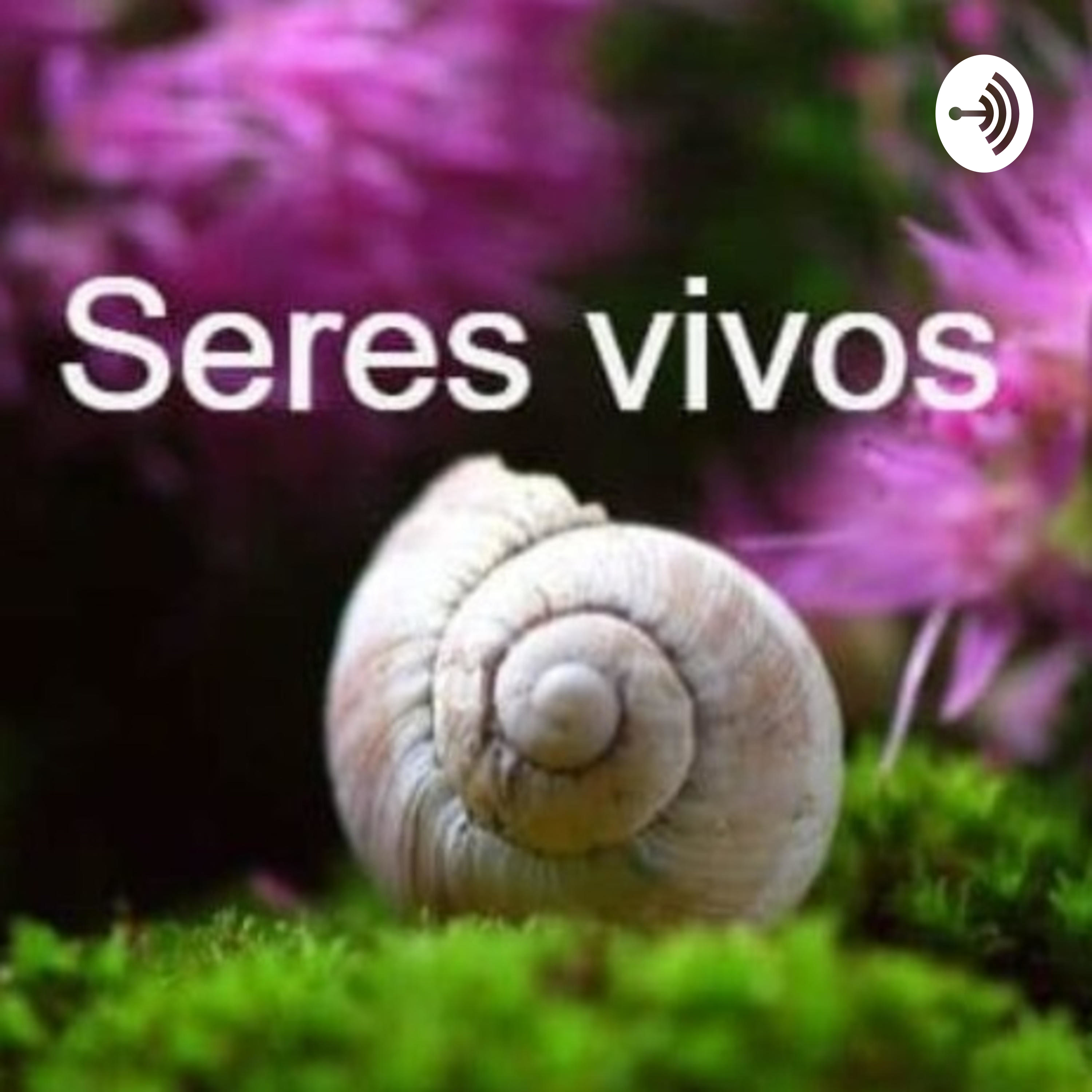 Jordi Cortes Palacios