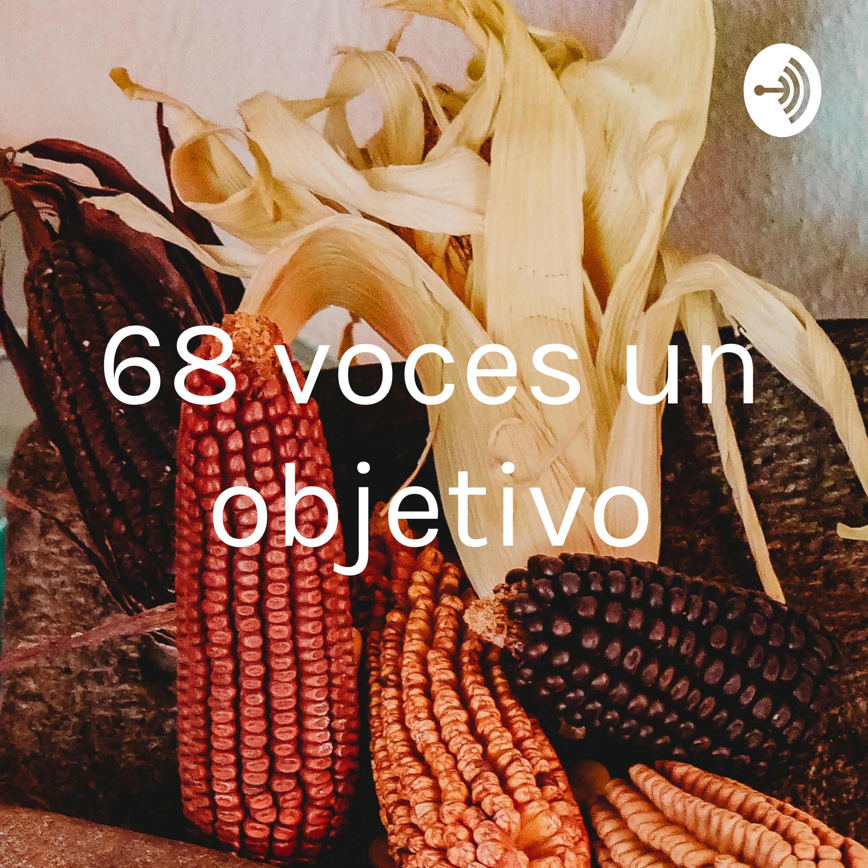 68 voces un objetivo