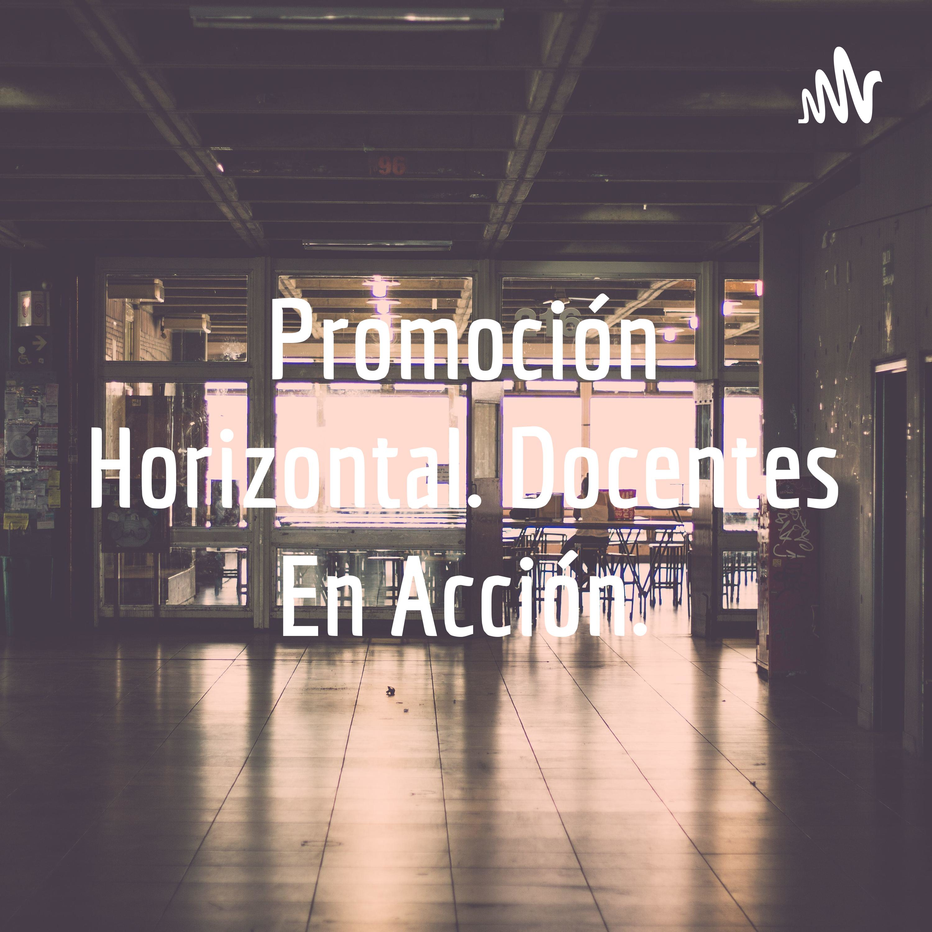 Promoción Horizontal. Docentes En Acción.