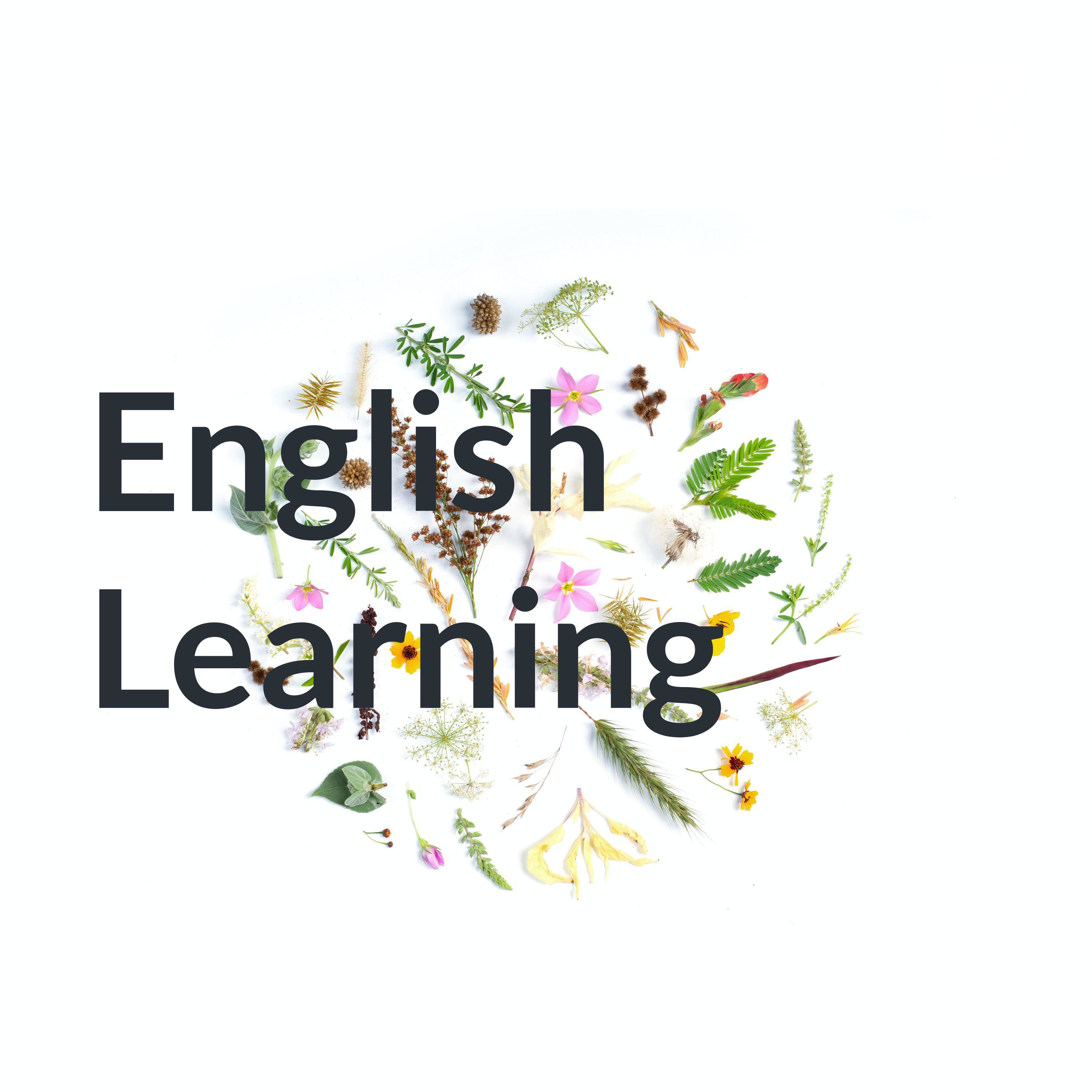 English Learning