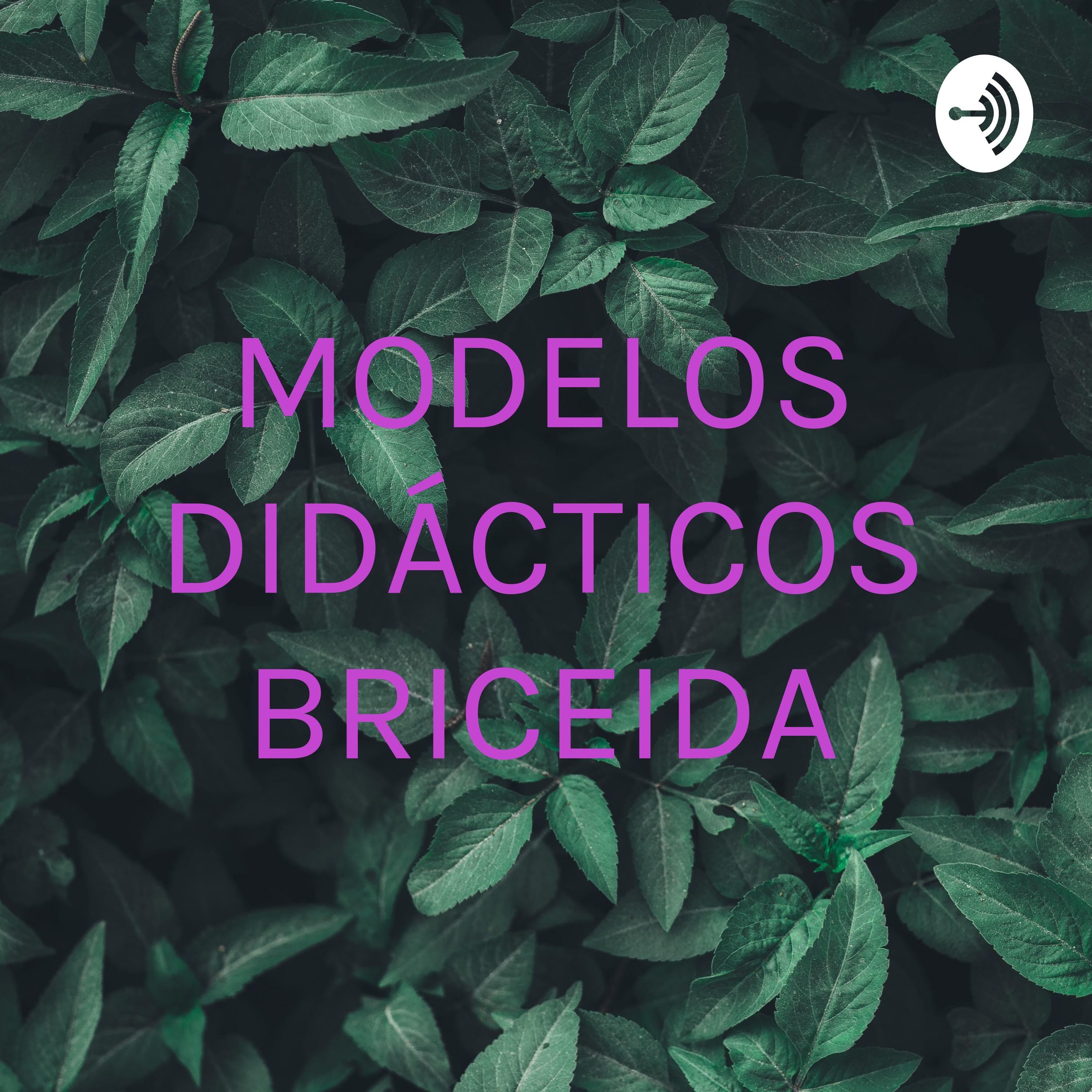 MODELOS DIDÁCTICOS BRICEIDA