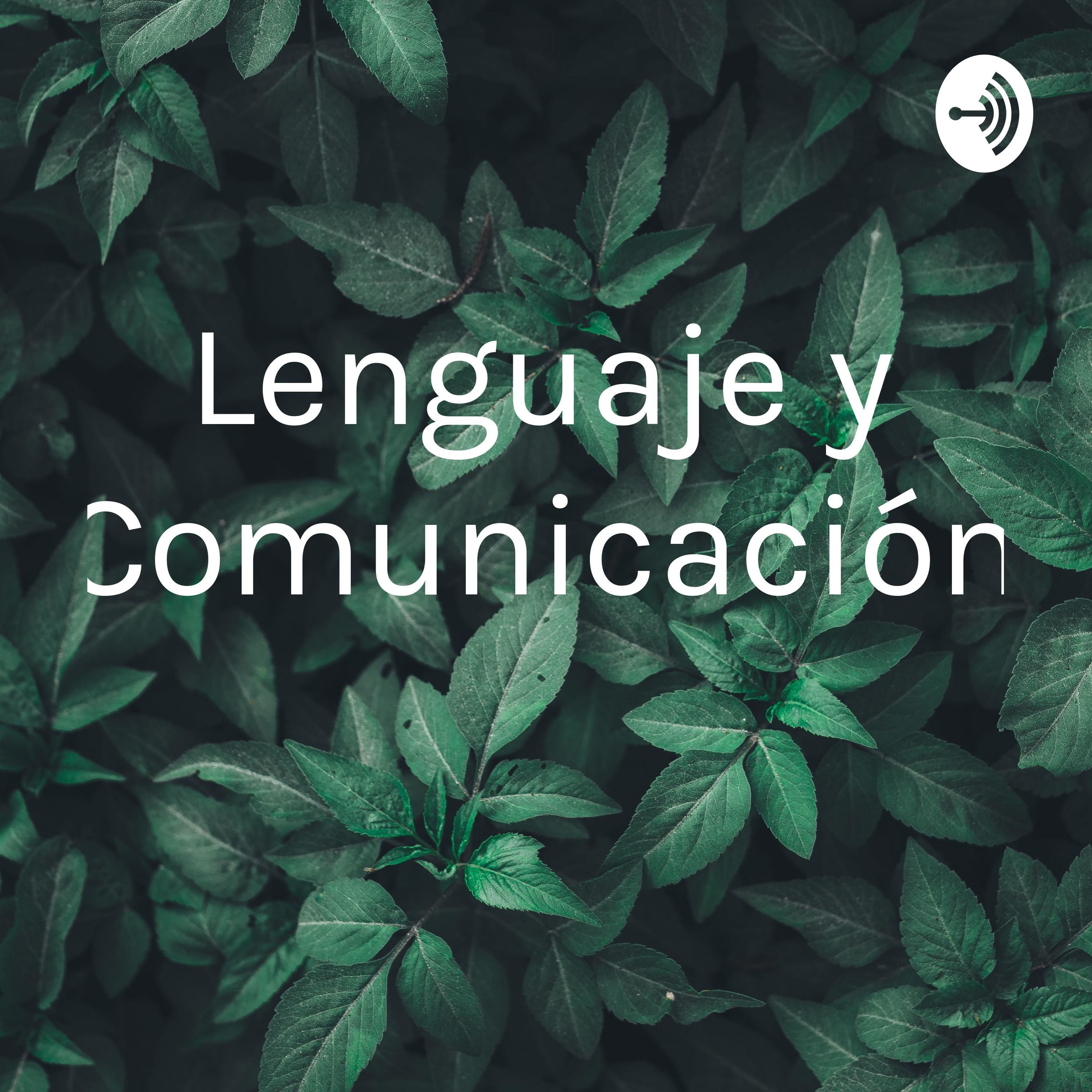 Lenguaje y Comunicación 