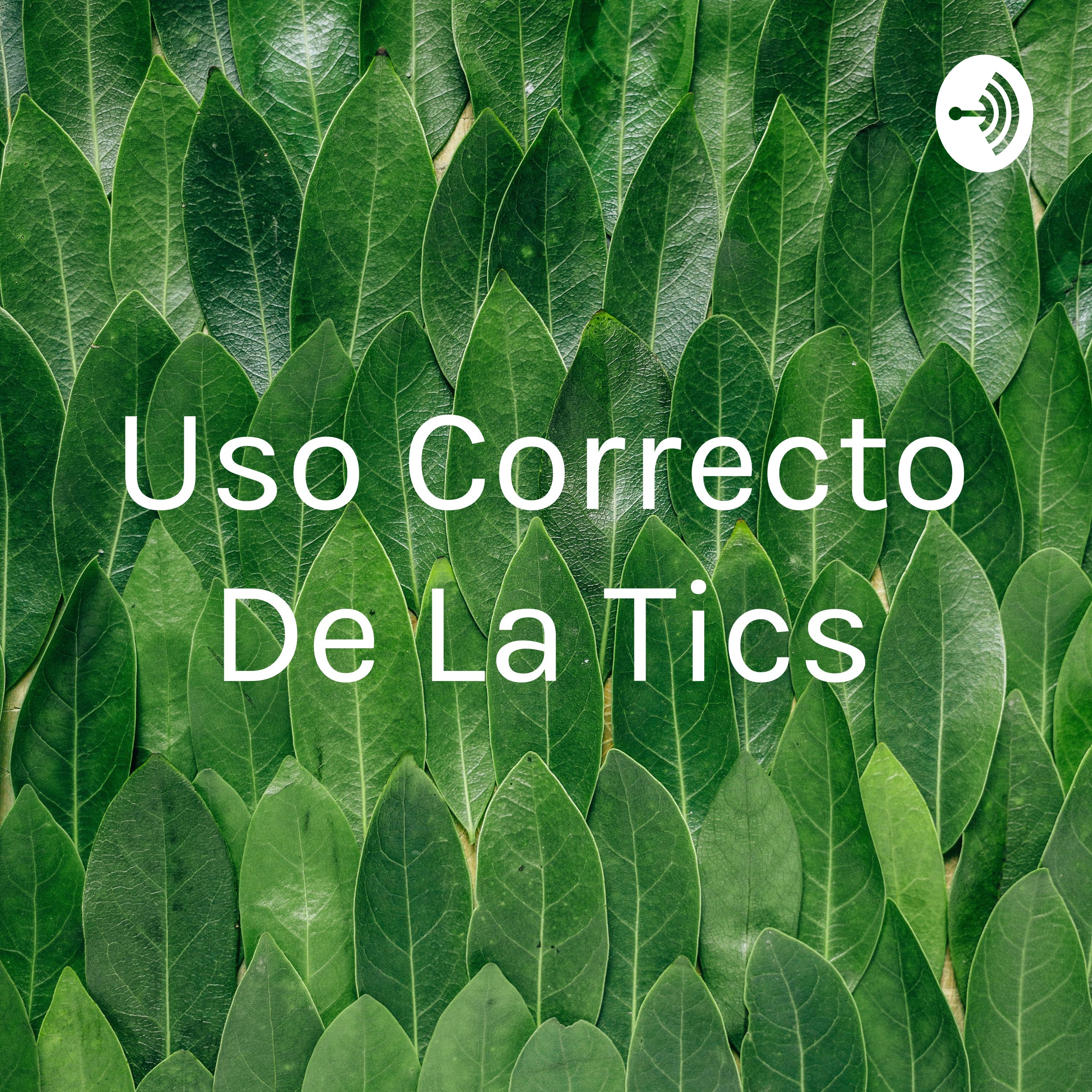 Uso Correcto De La Tics