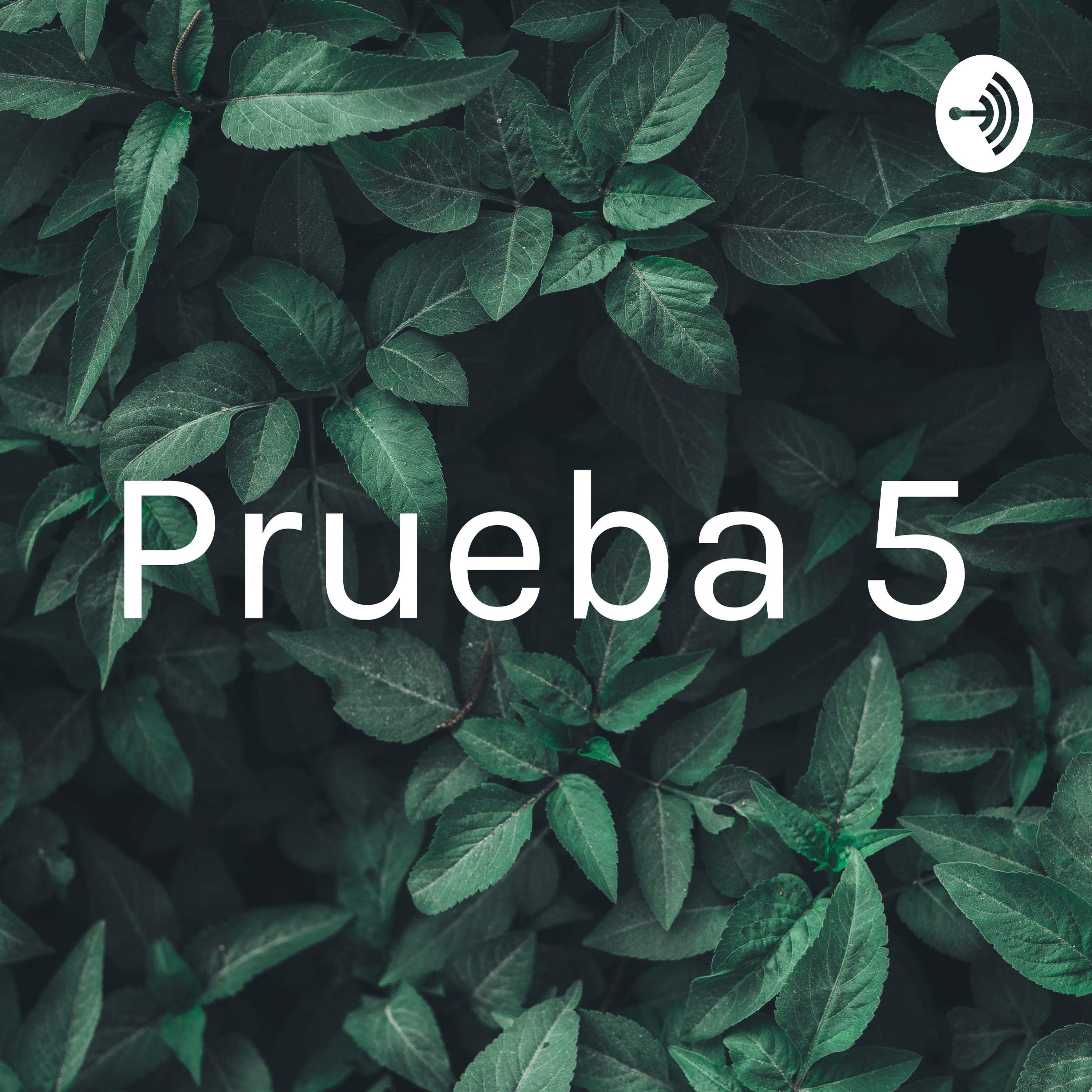 Prueba 5