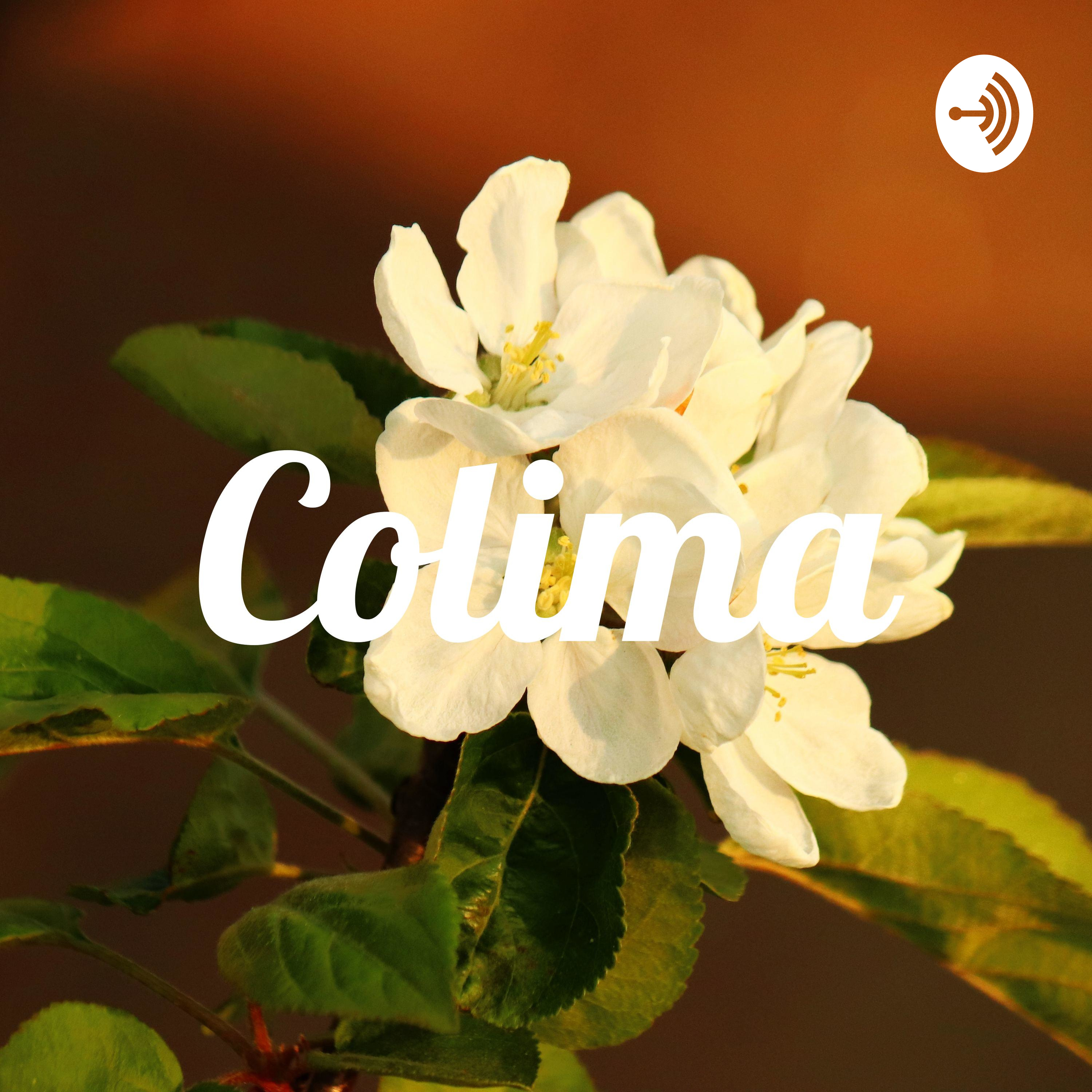 Colima cover