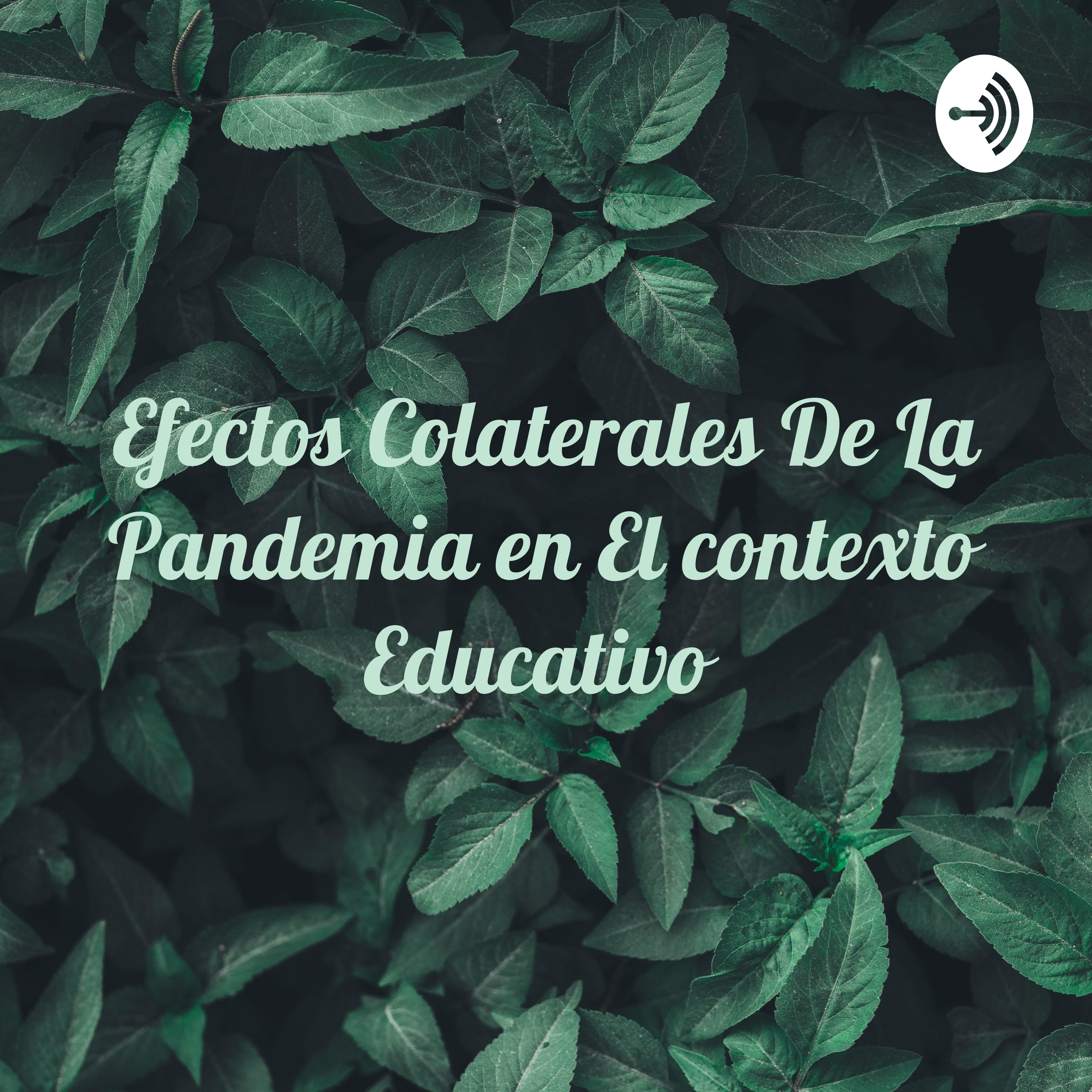 Efectos Colaterales De La Pandemia en El contexto Educativo 
