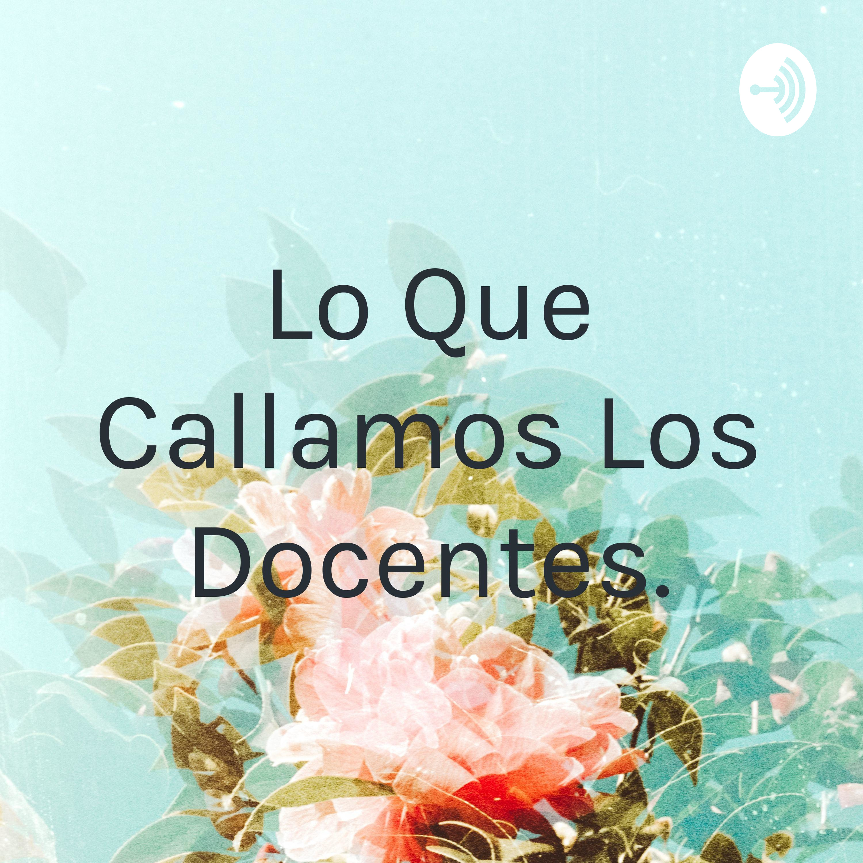 Lo Que Callamos Los Docentes.