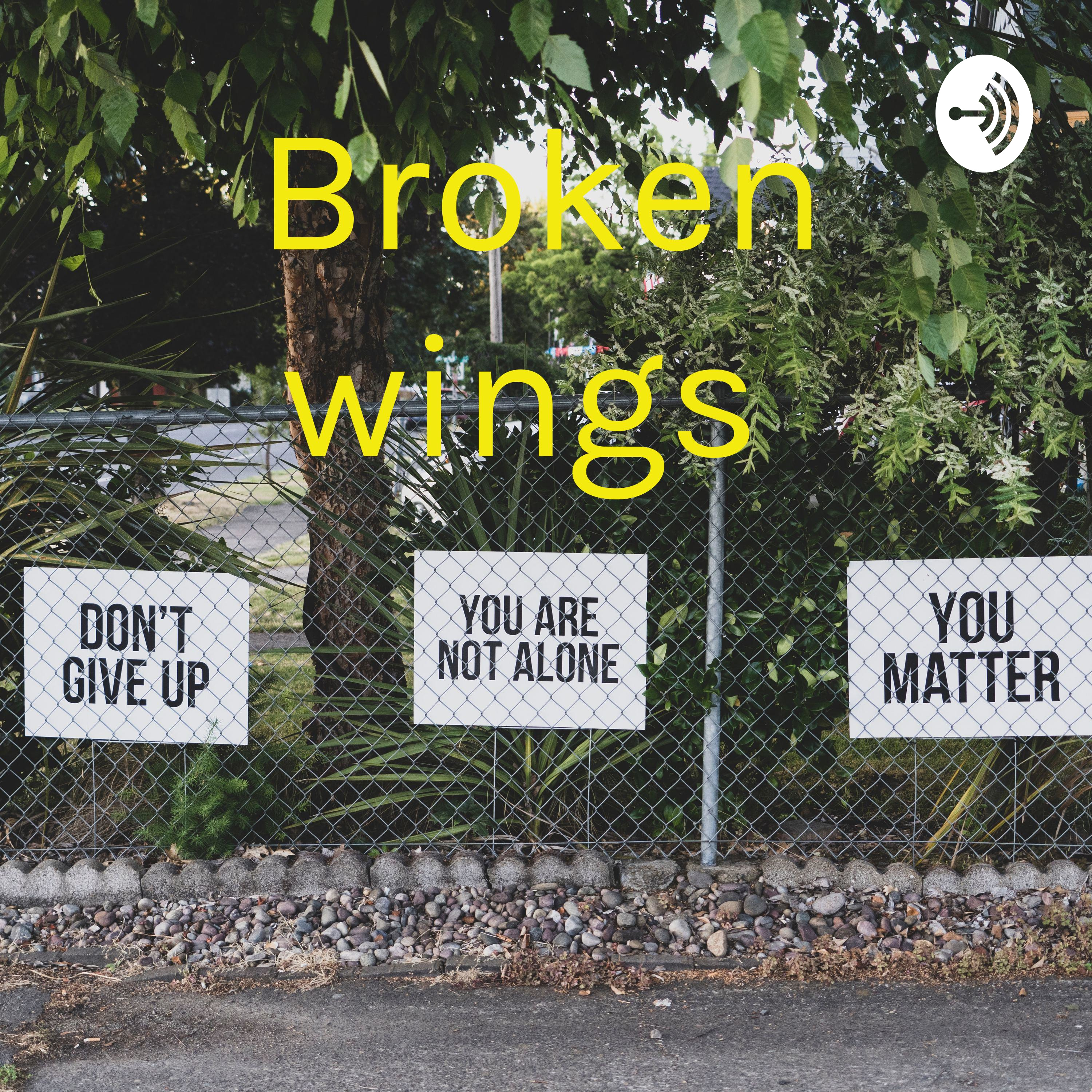 Broken wings 