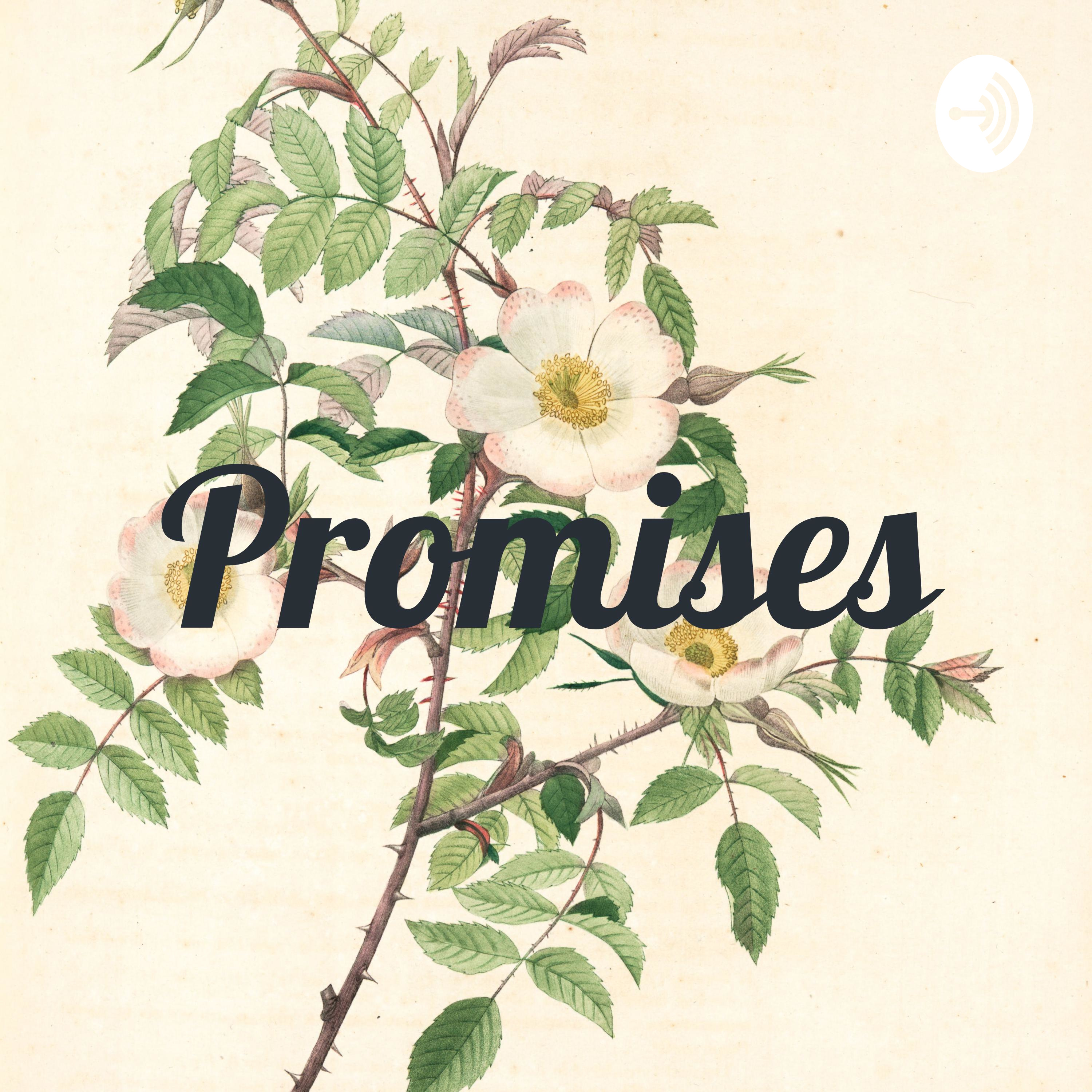 Promises