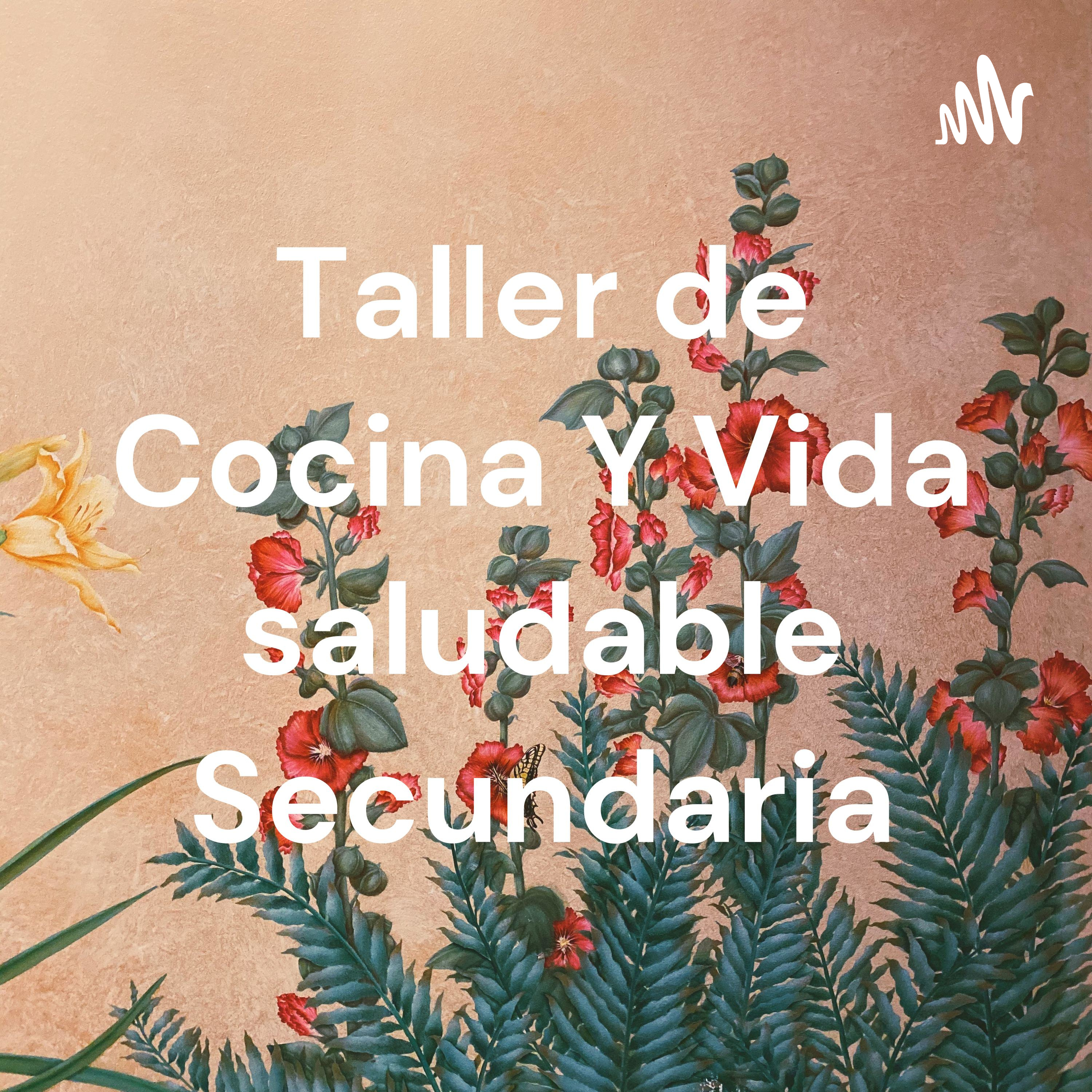 Taller de Cocina Y Vida saludable Secundaria