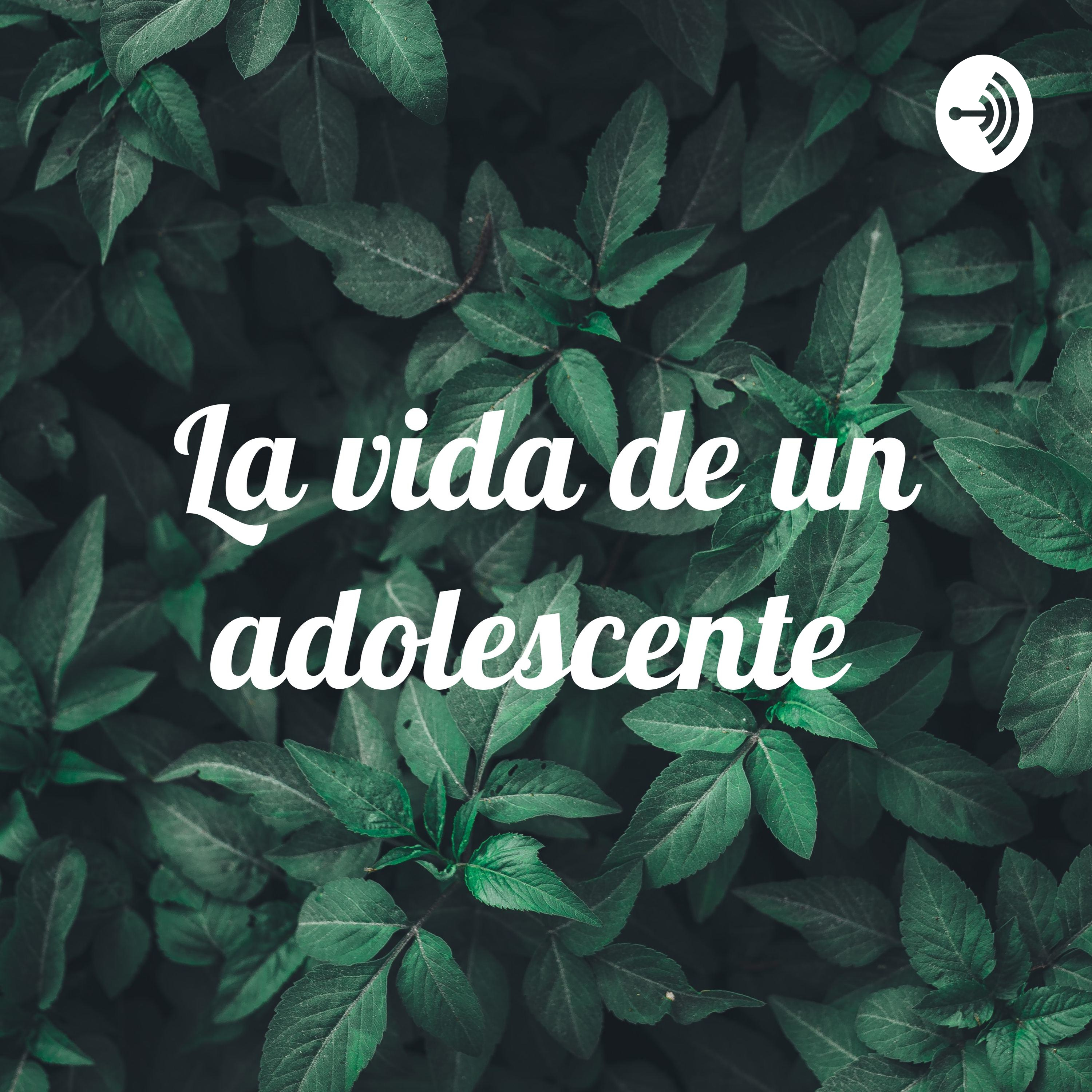La vida de un adolescente 