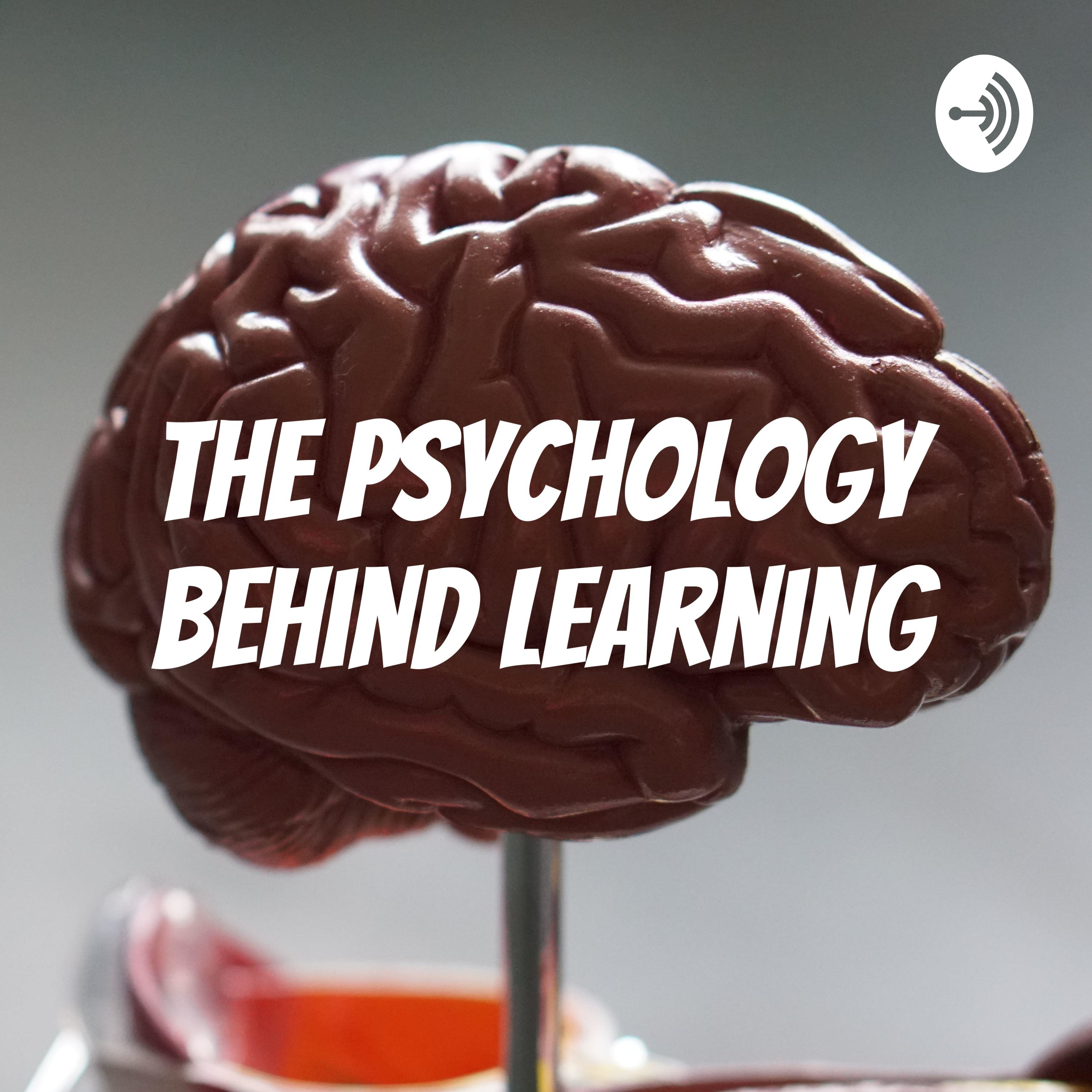 The Psychology Behind Learning