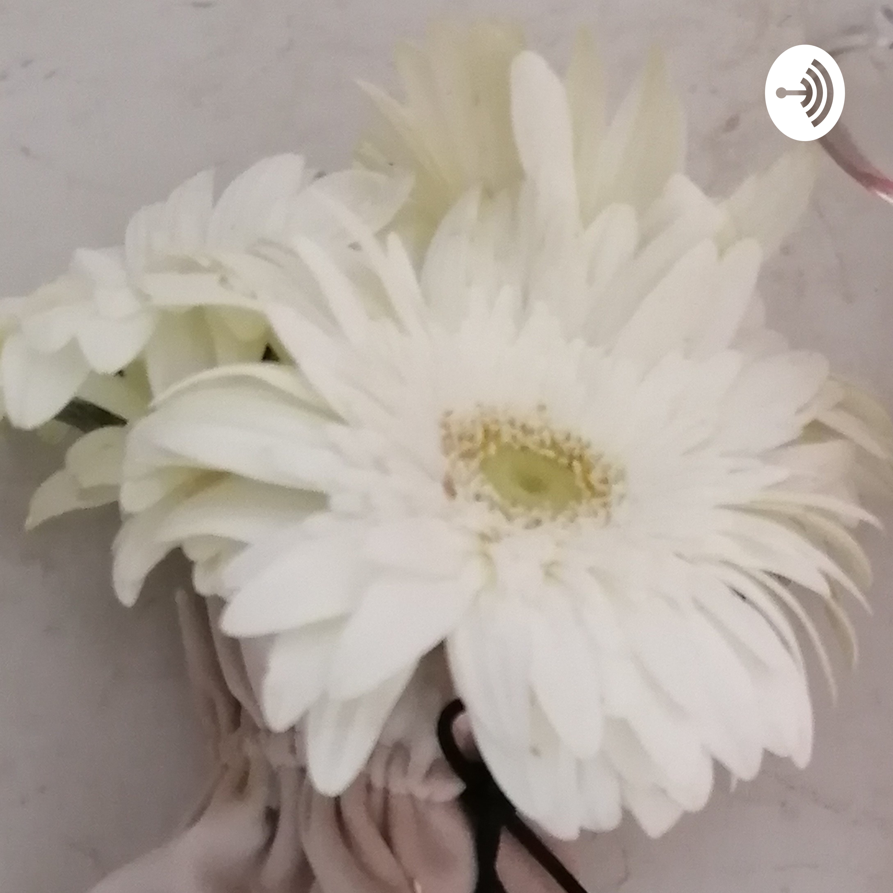 Descentralizacion ANA