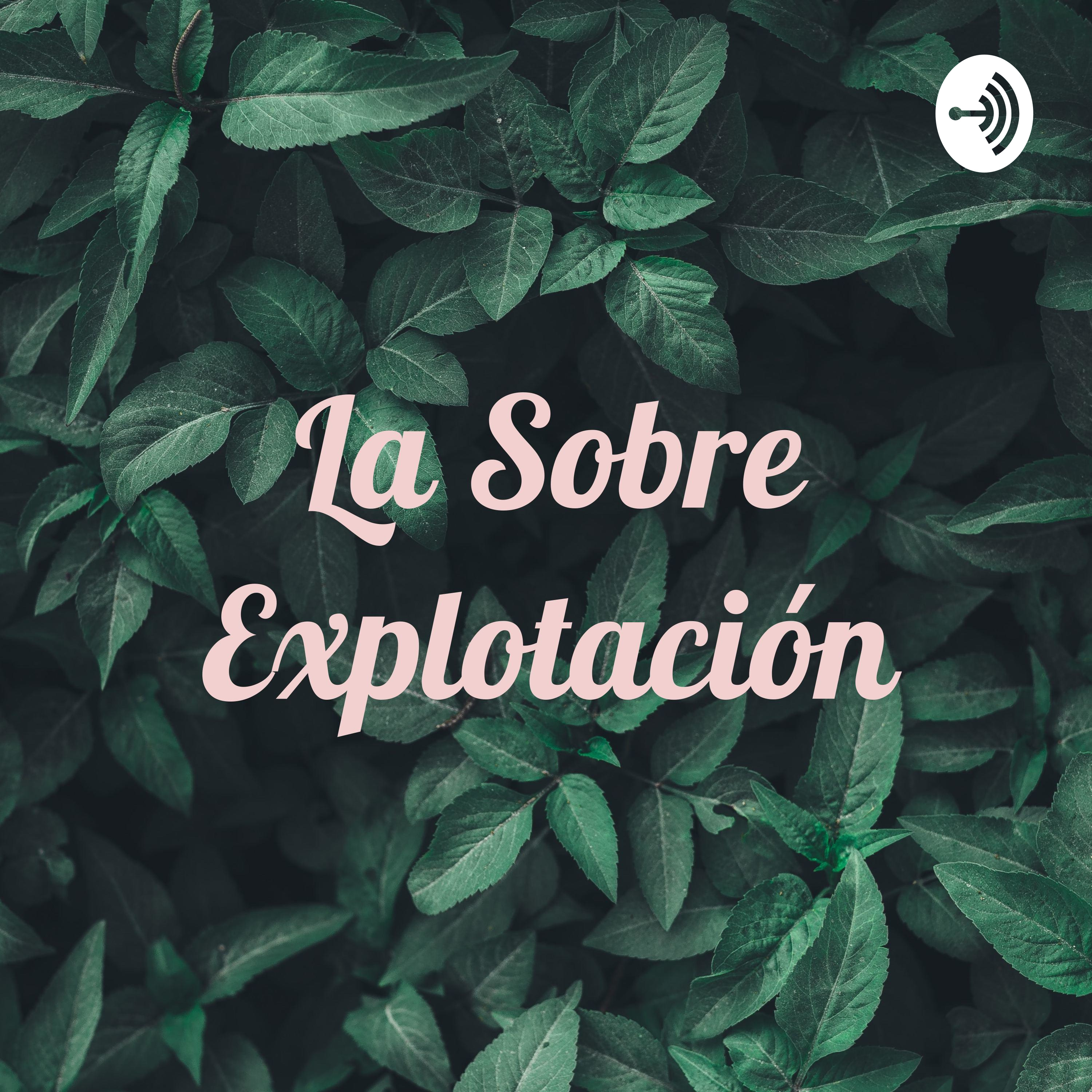 La Sobre Explotación podcast artwork