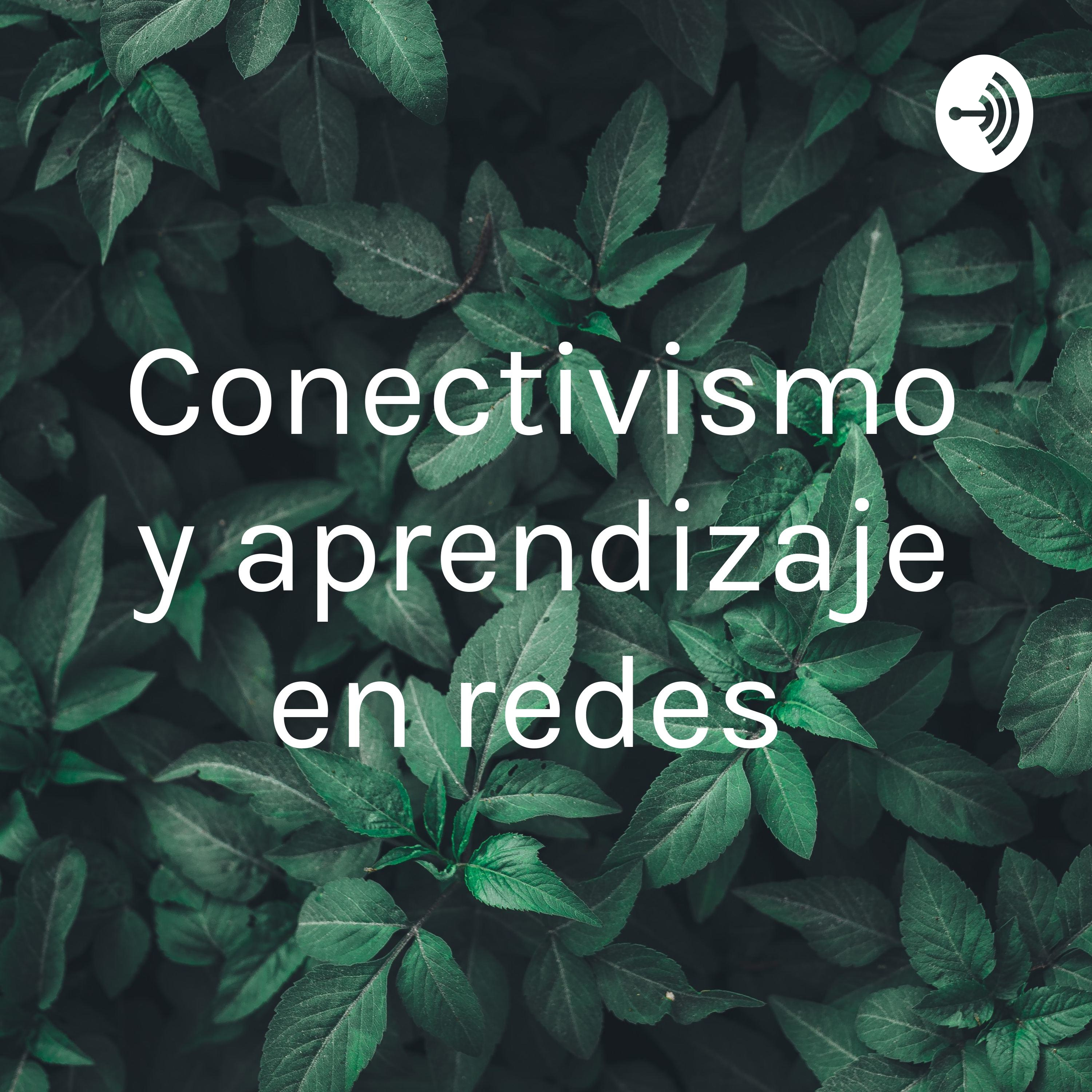 Conectivismo y aprendizaje en redes