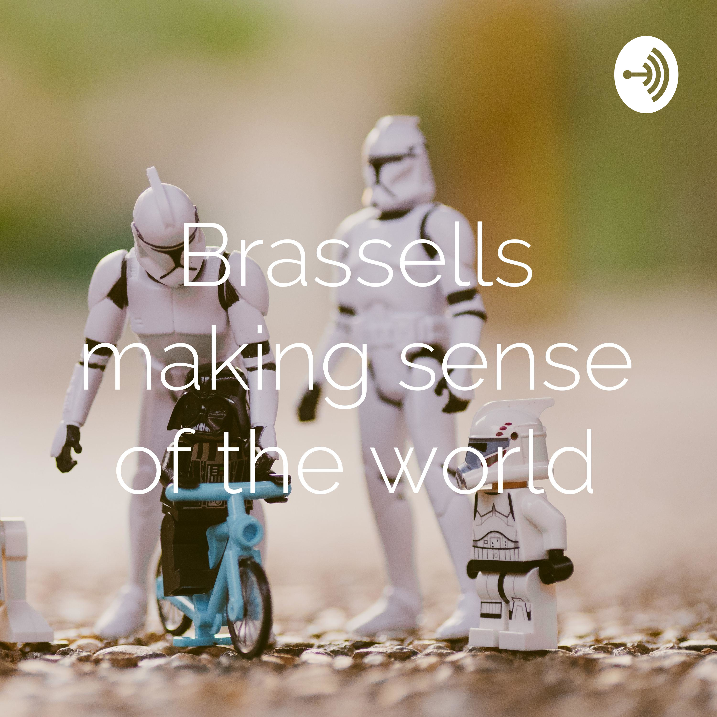 Brassells making sense of the world