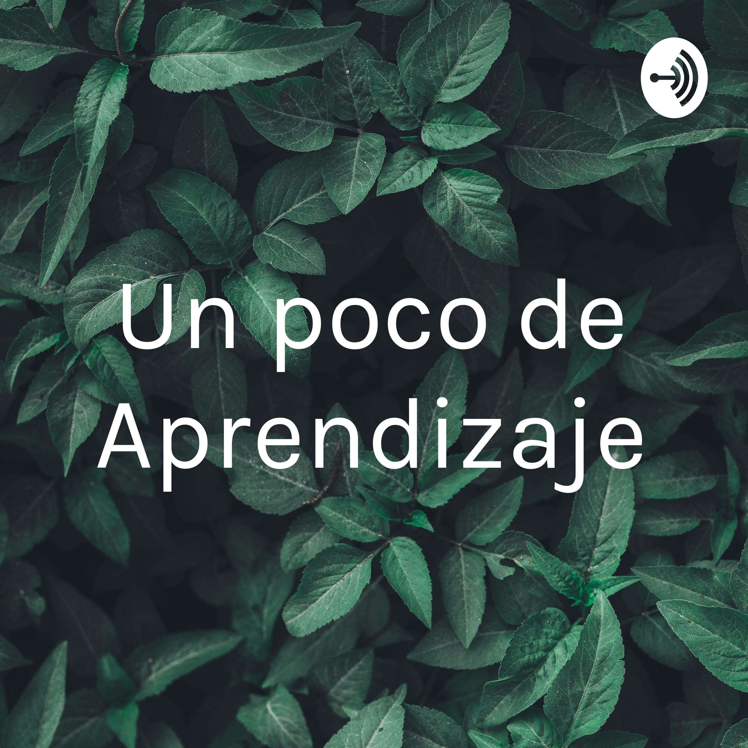 Un poco de Aprendizaje