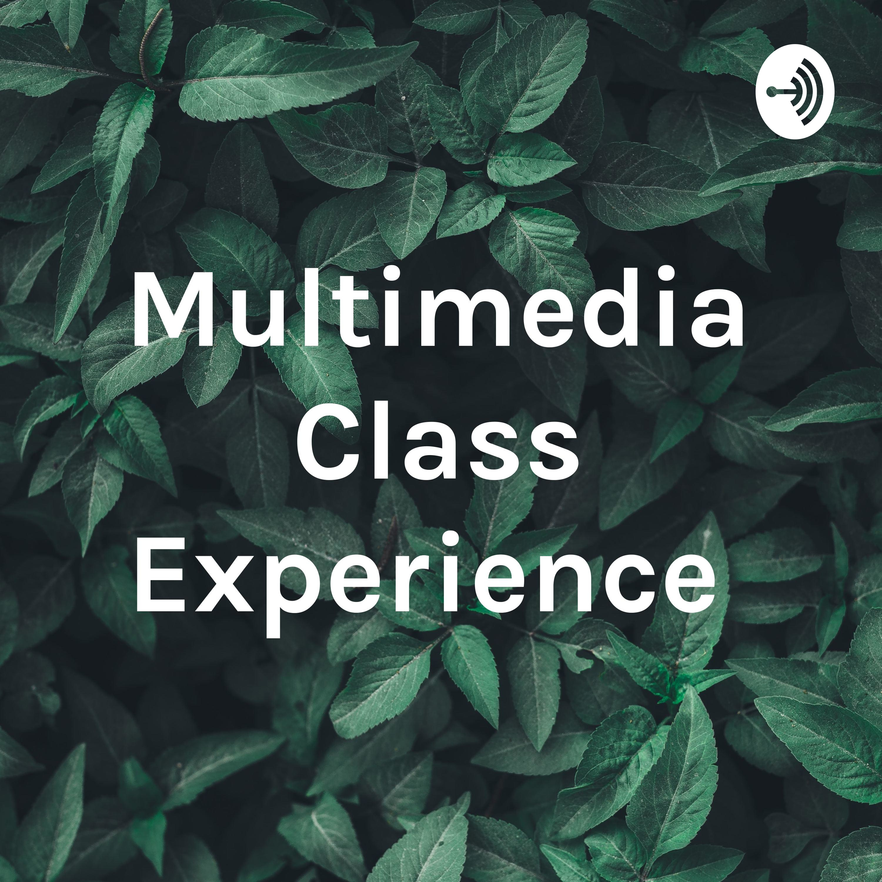 Multimedia Class Experience 