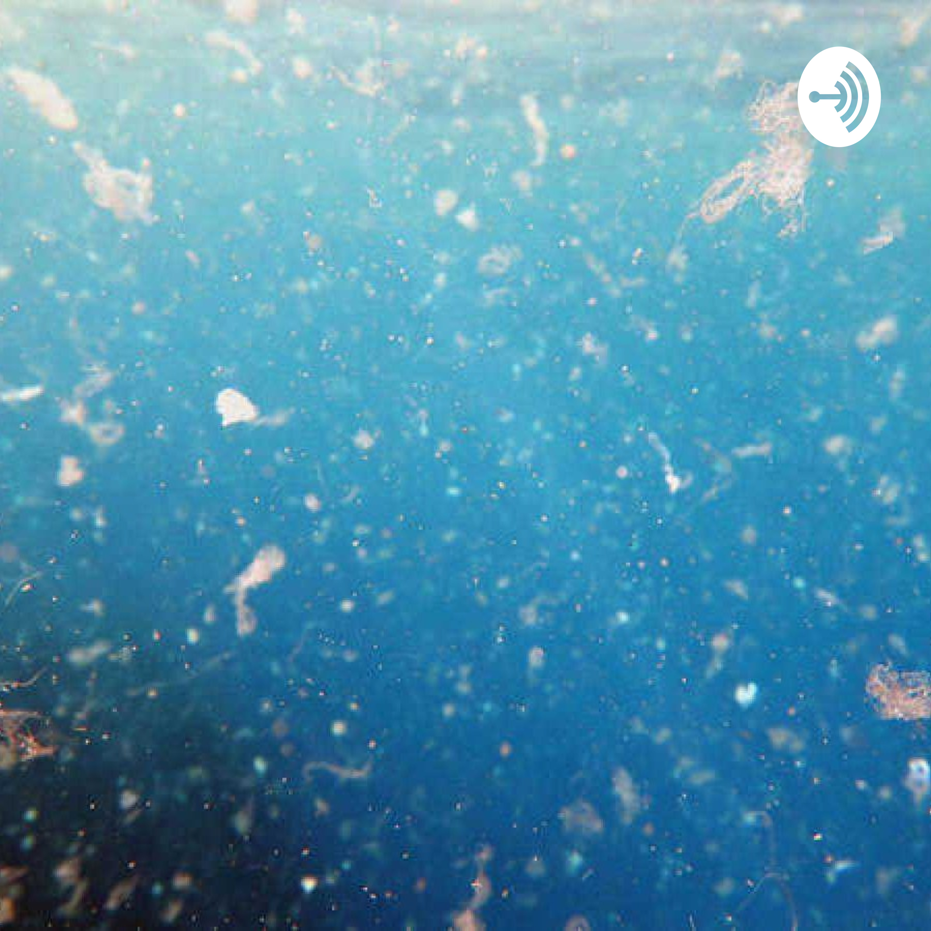 Plásticos Y Micro Plásticos