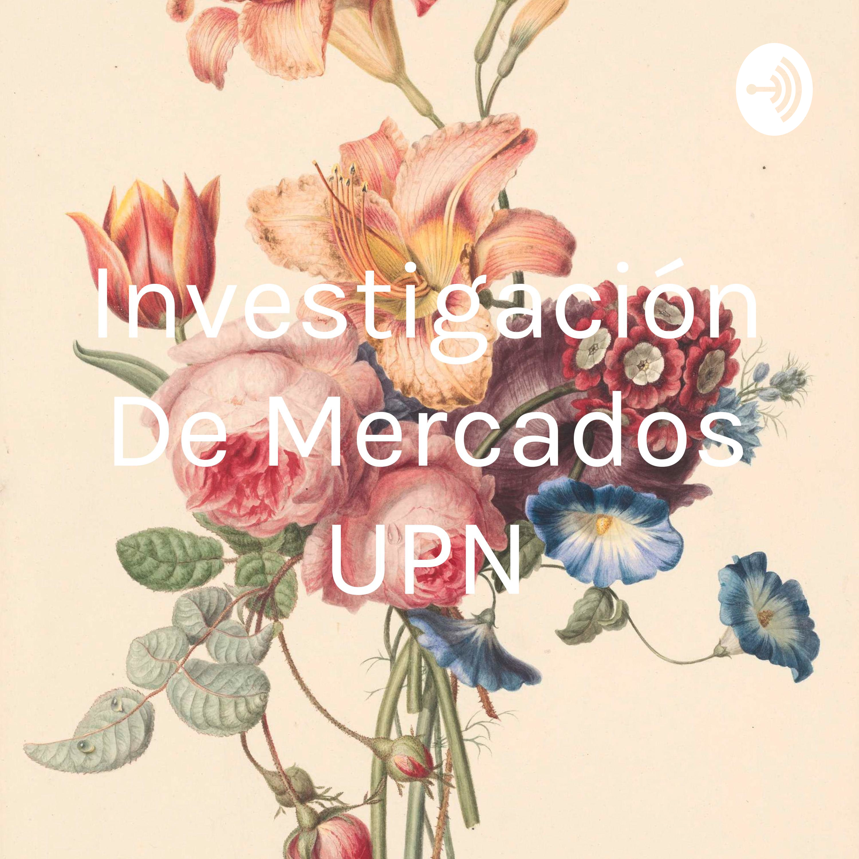 Investigación De Mercados UPN