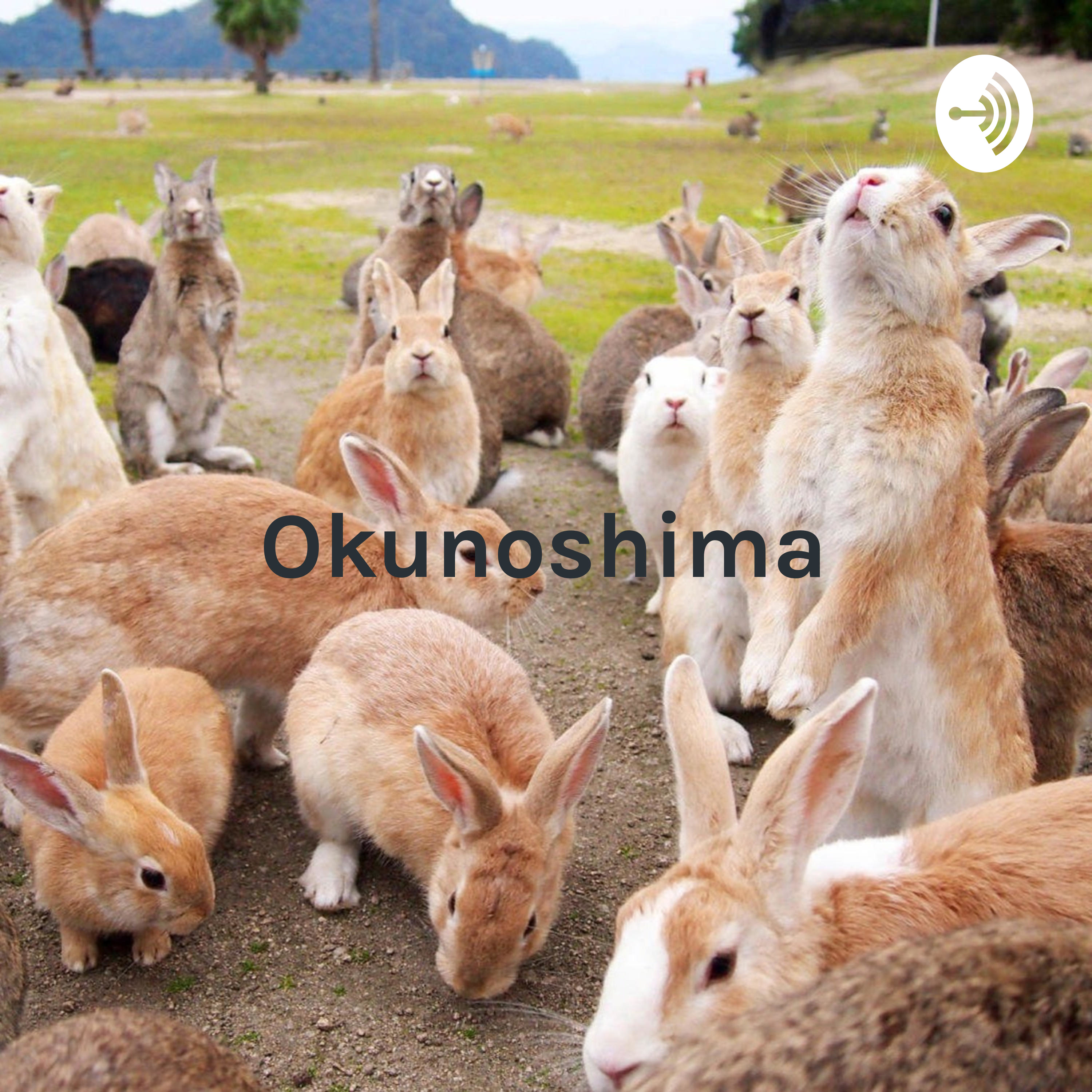 Okunoshima: The Dark History of Japans Rabbit Island