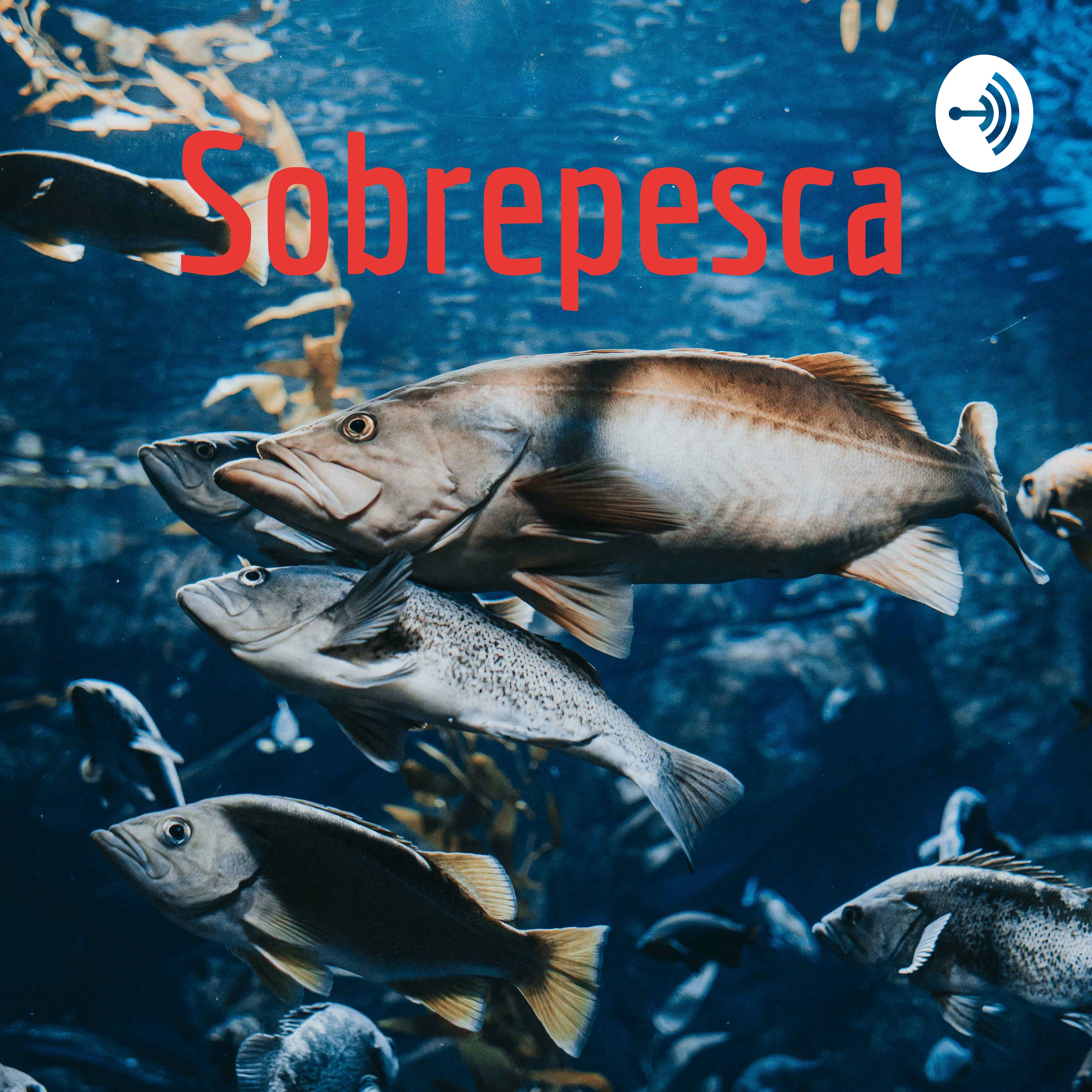 Sobrepesca