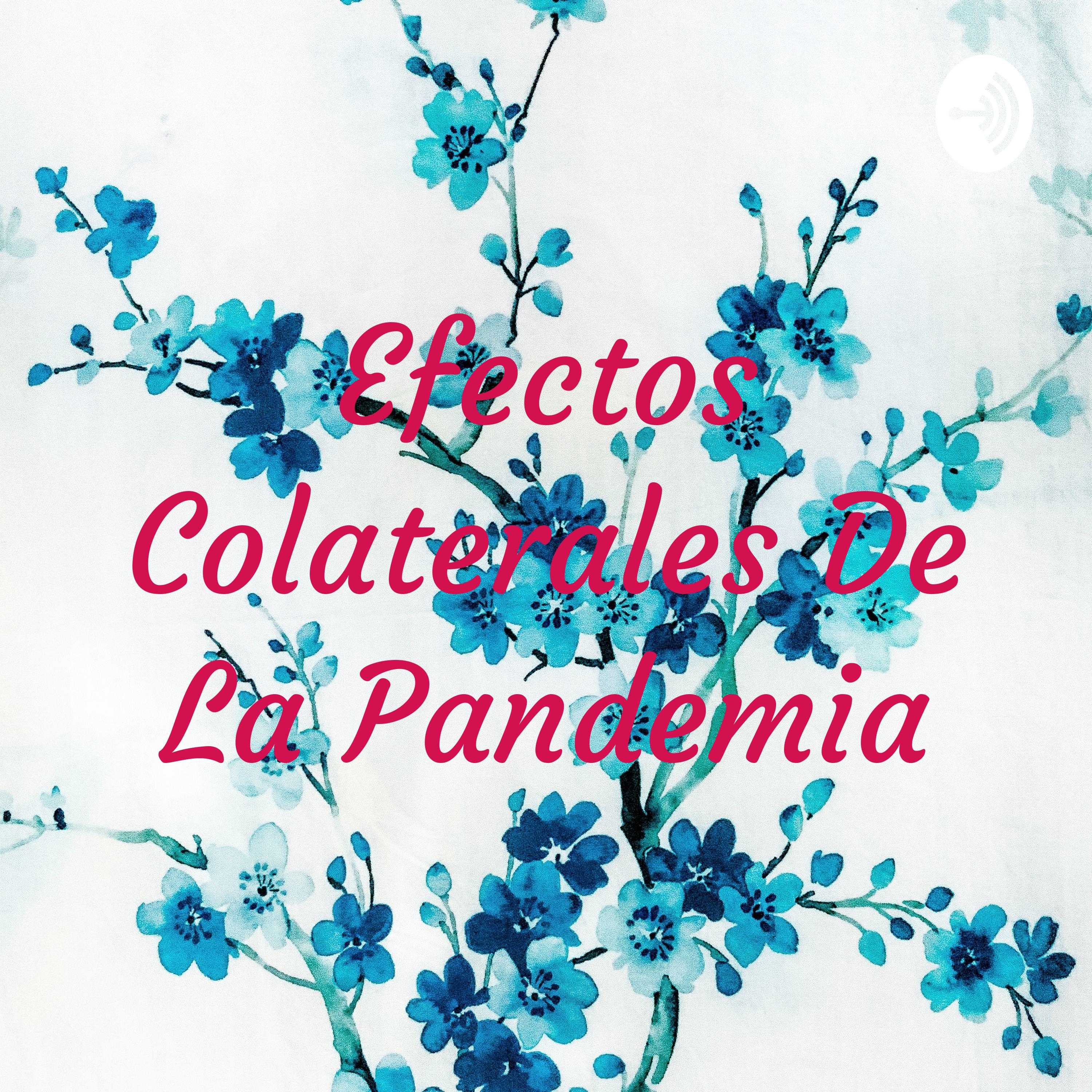 Efectos Colaterales De La Pandemia