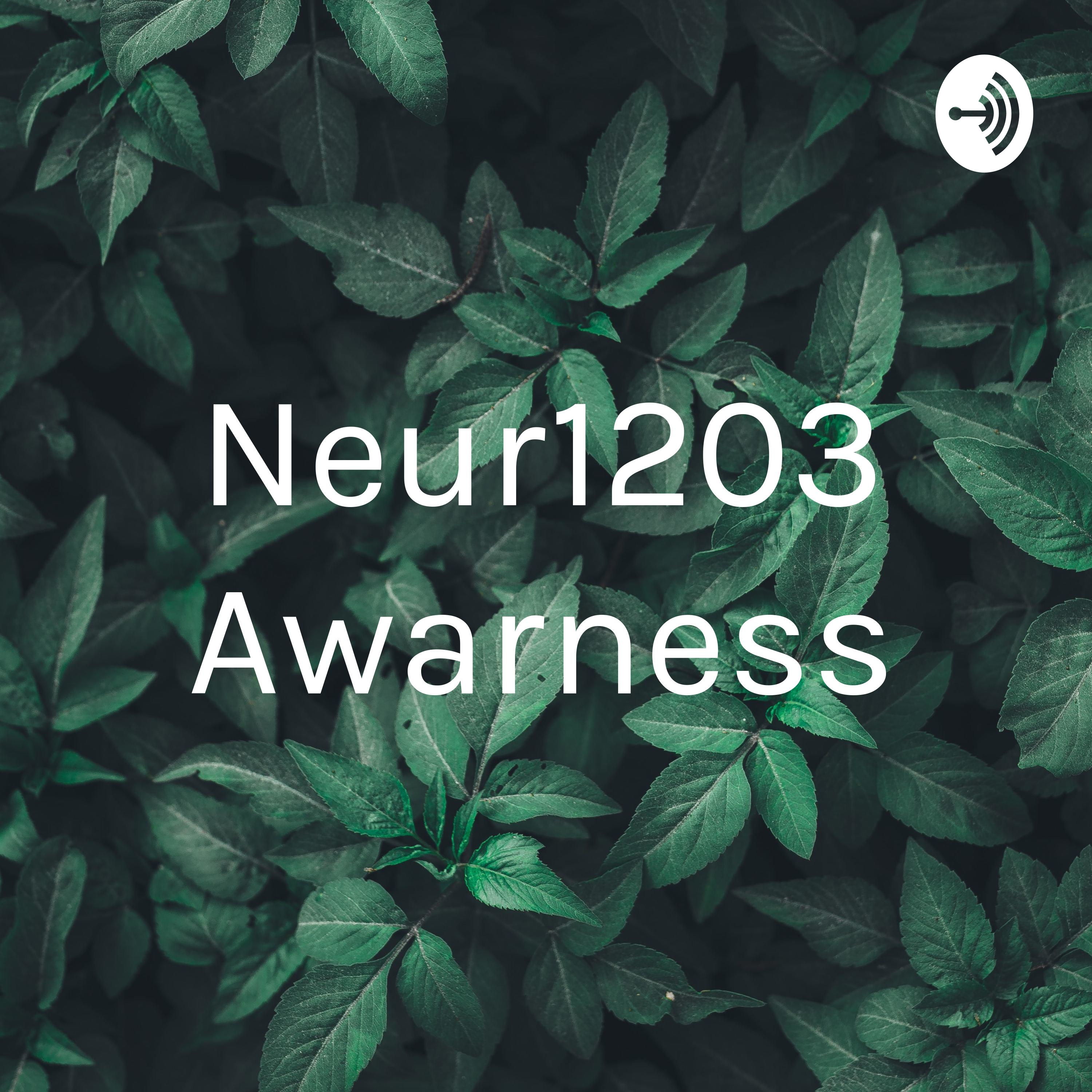 Neur1203 Awarness podcast artwork