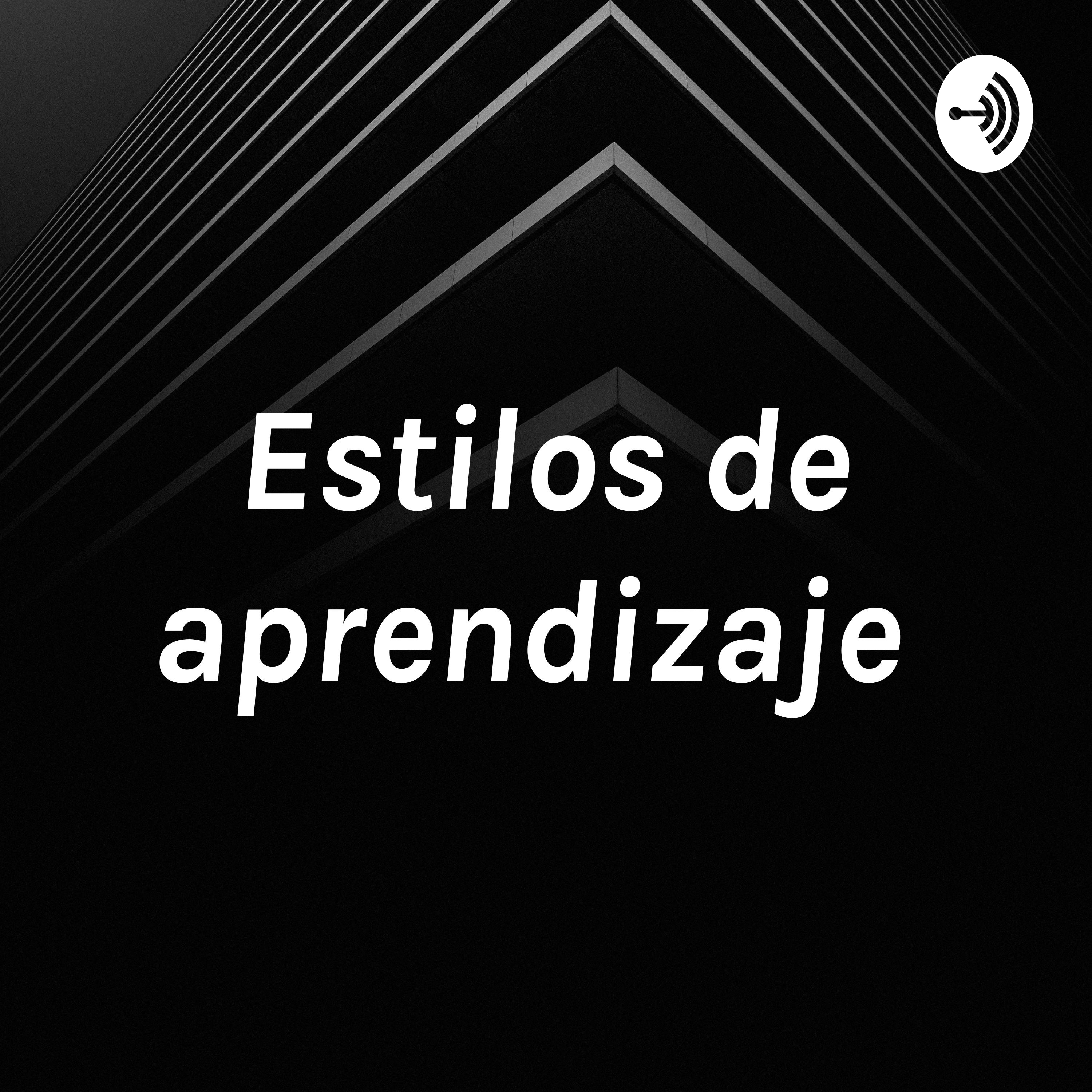Estilos de aprendizaje 