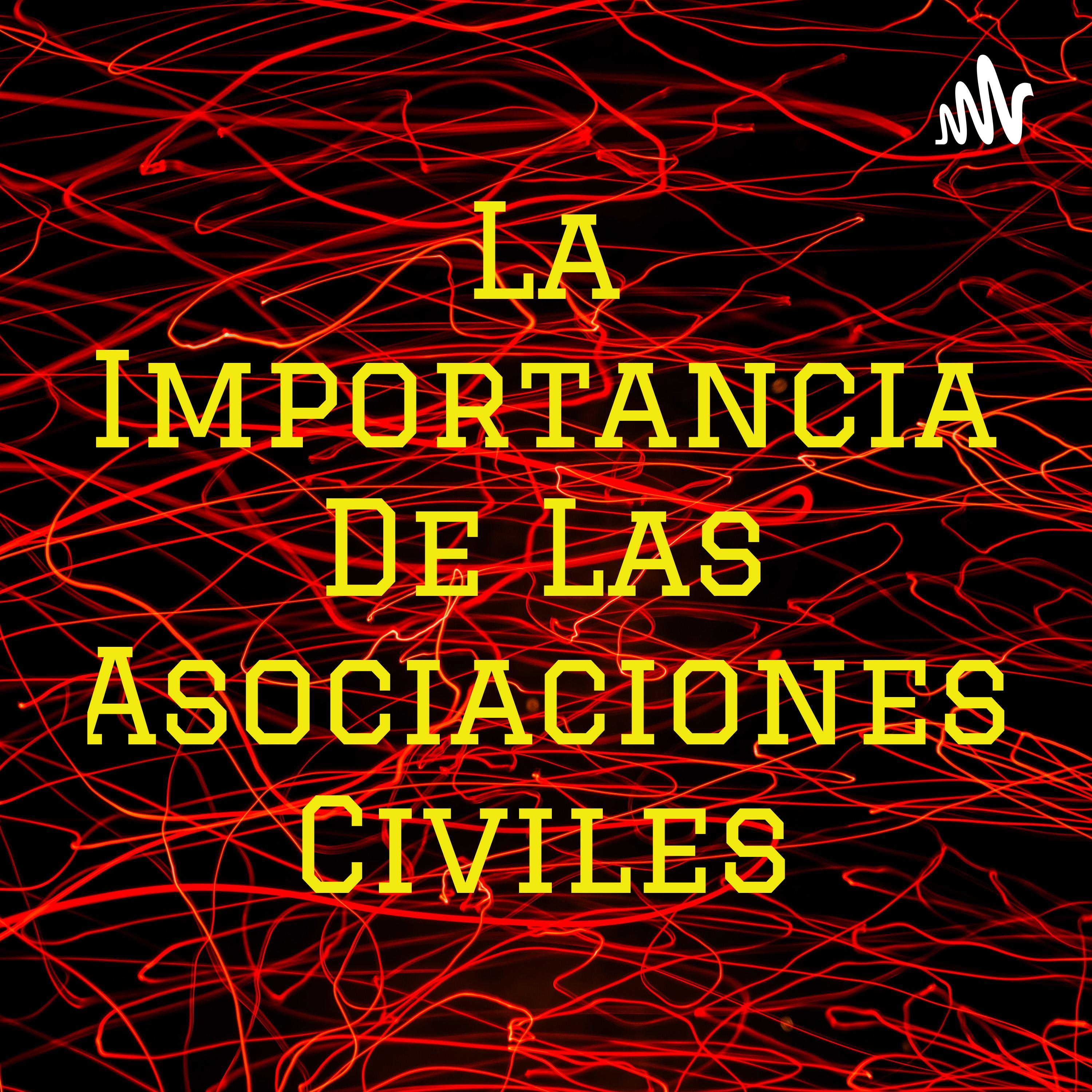 La Importancia De Las Asociaciones Civiles cover art