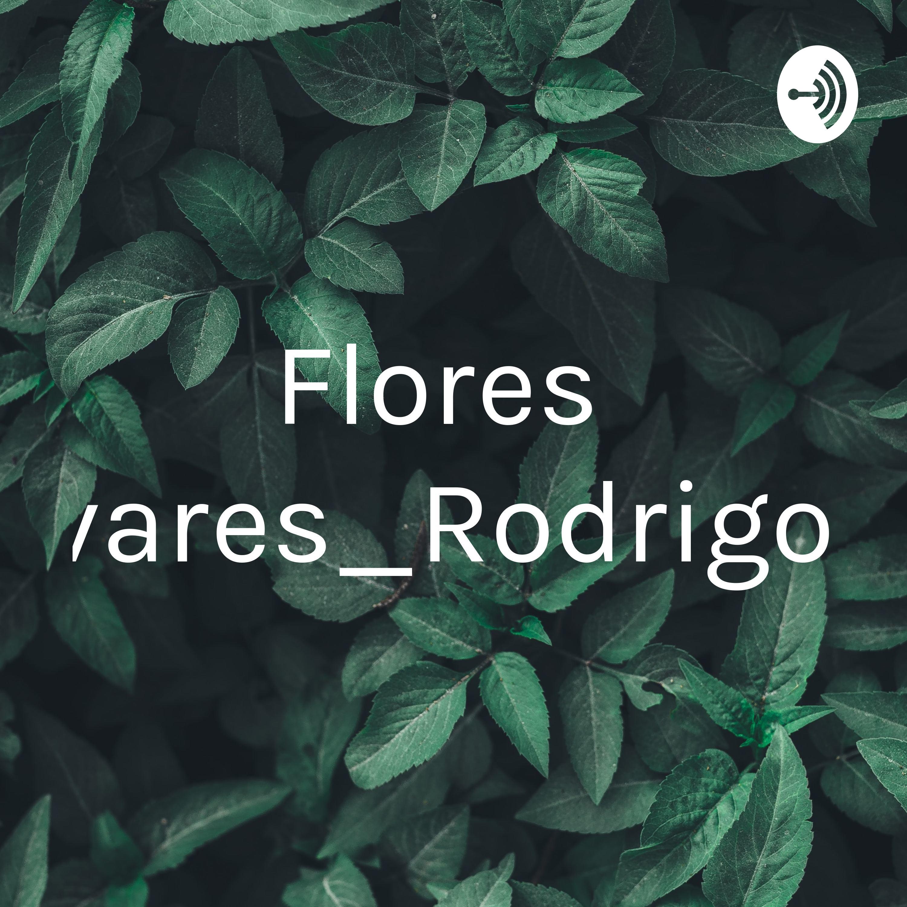 Flores_Olivares_Rodrigo_S3 
