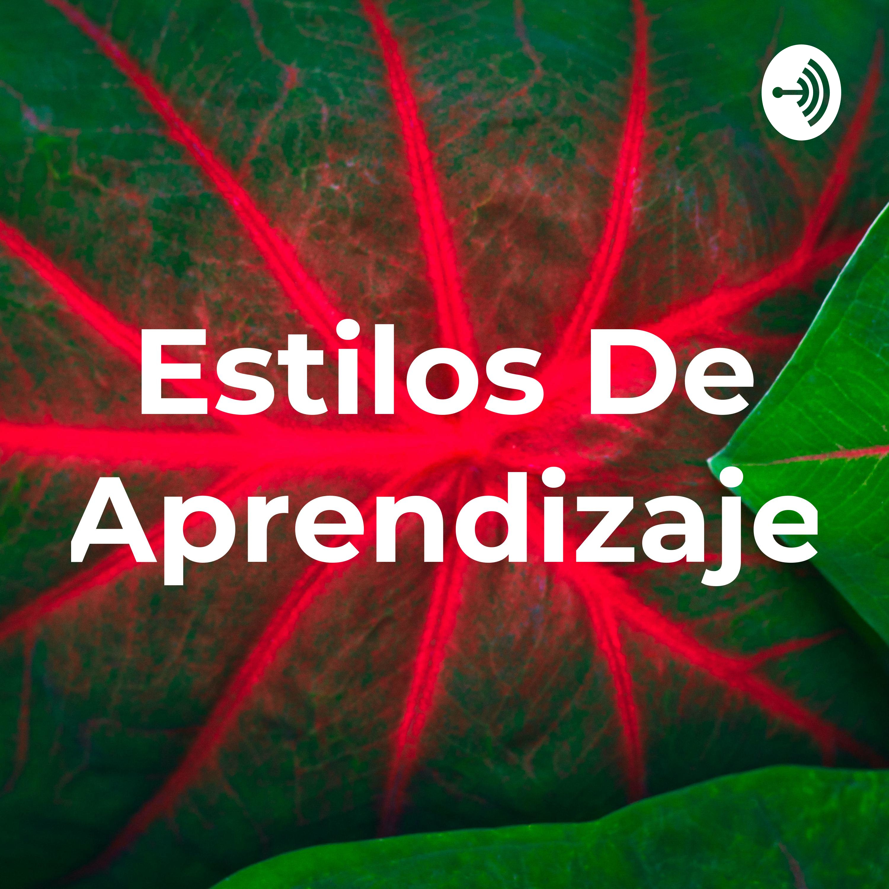 Estilos De Aprendizaje