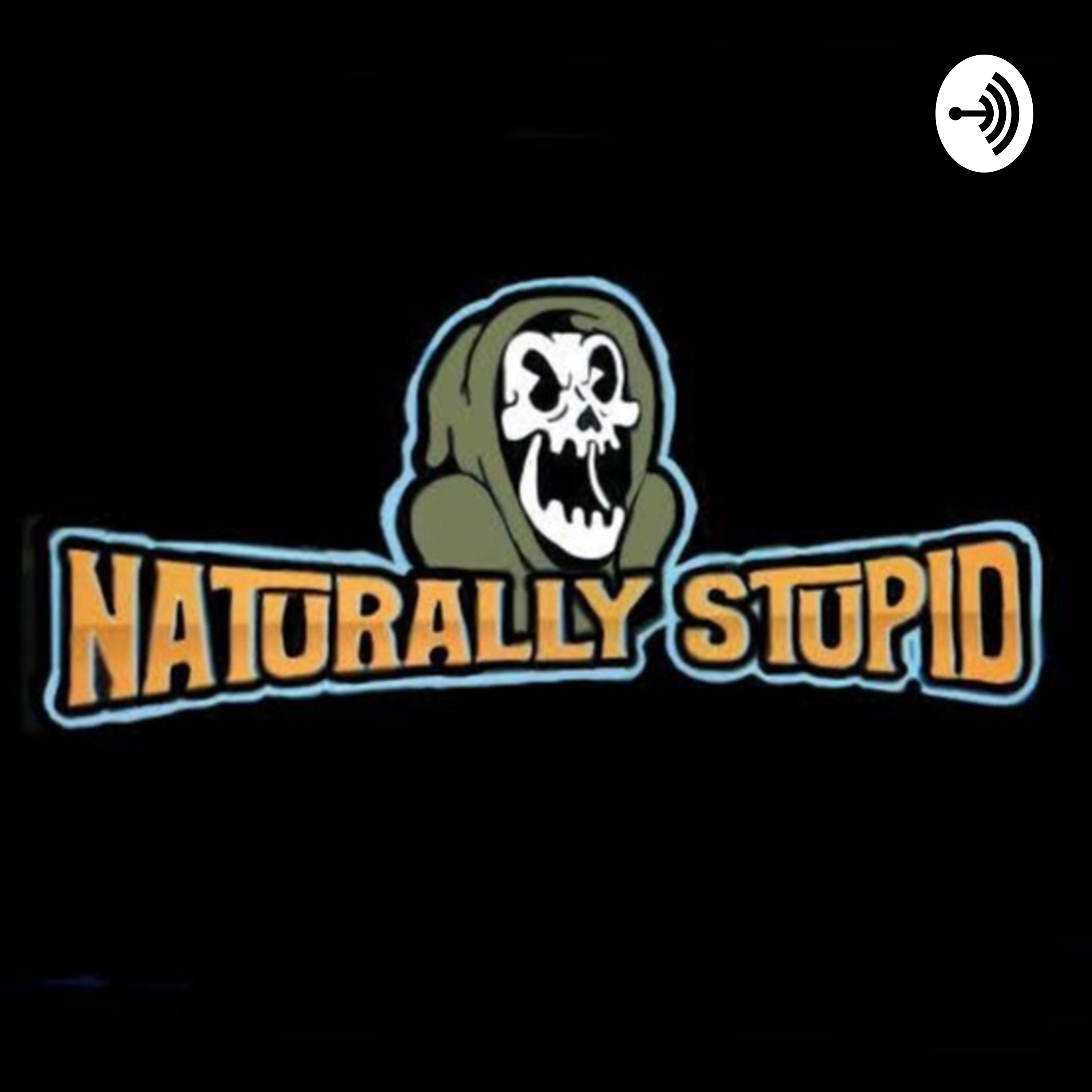 The Naturally Stupid Podcast