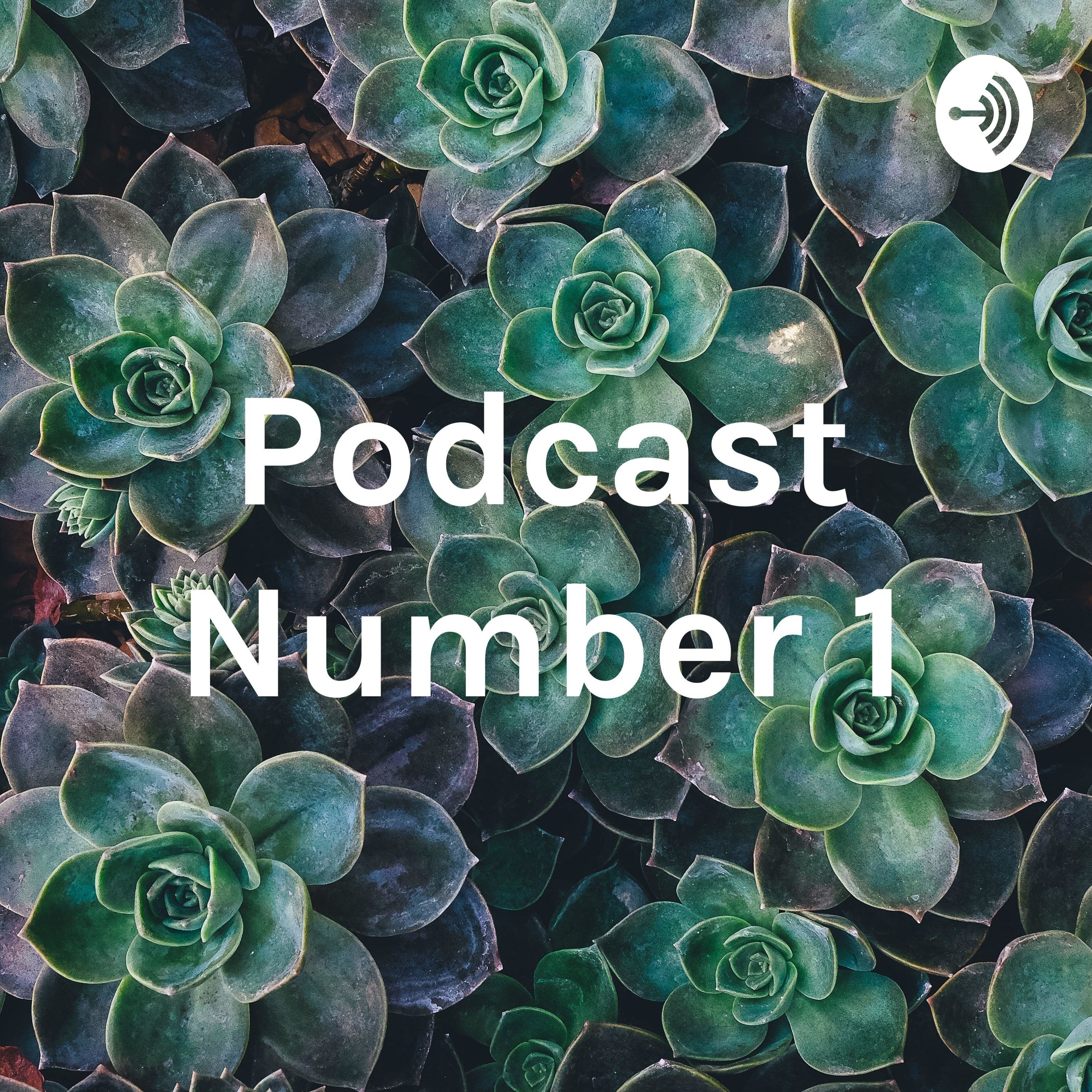 Podcast Number 1