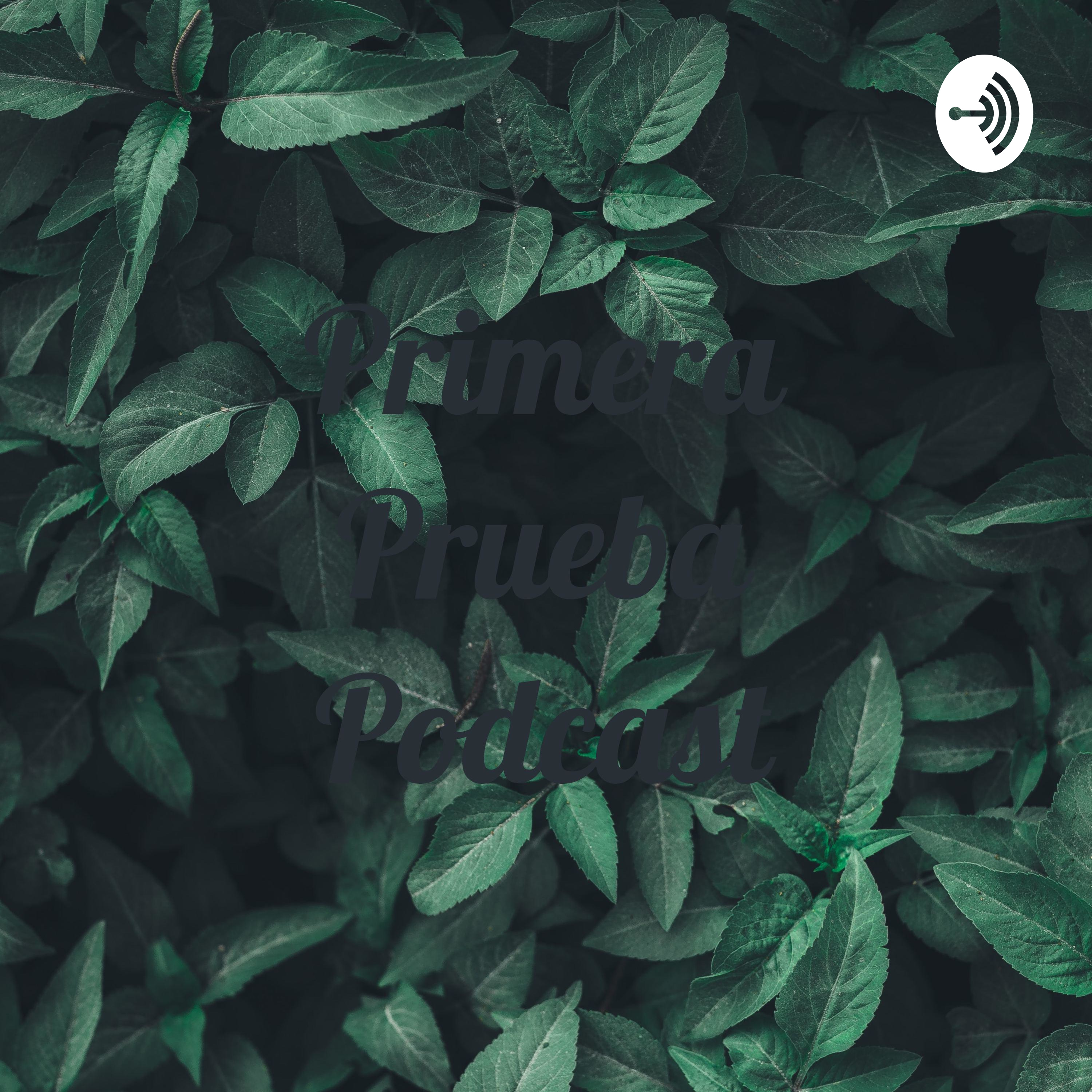 Primera Prueba Podcast 