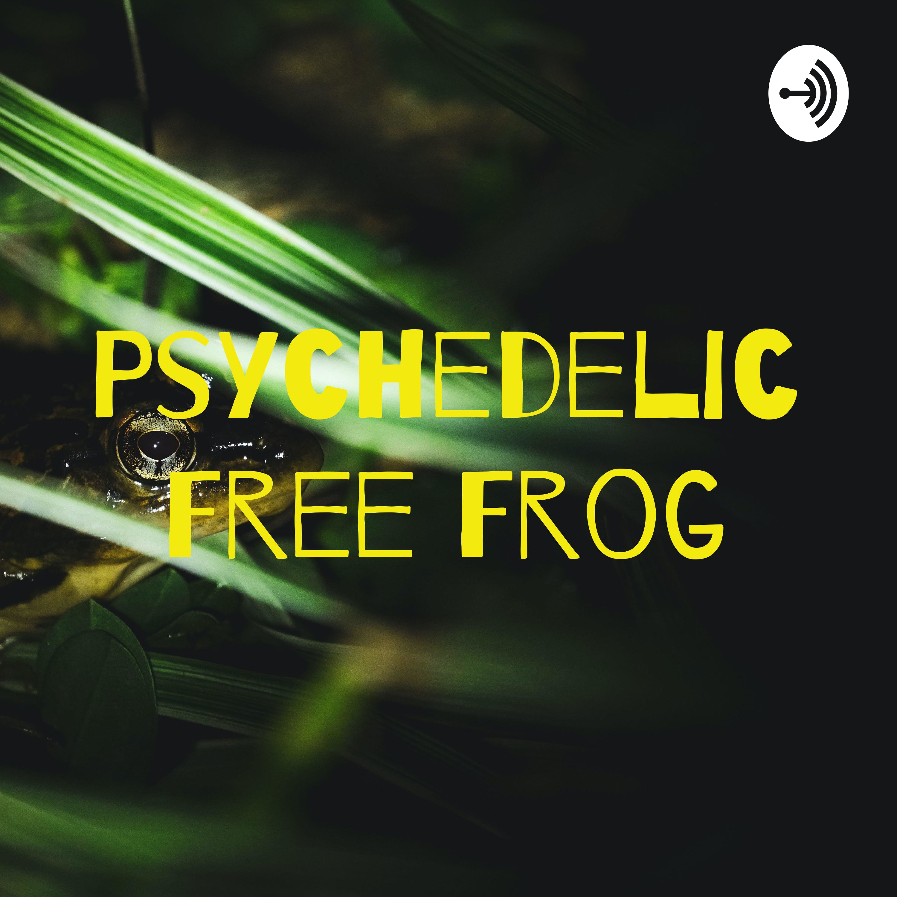 Psychedelic Free Frog