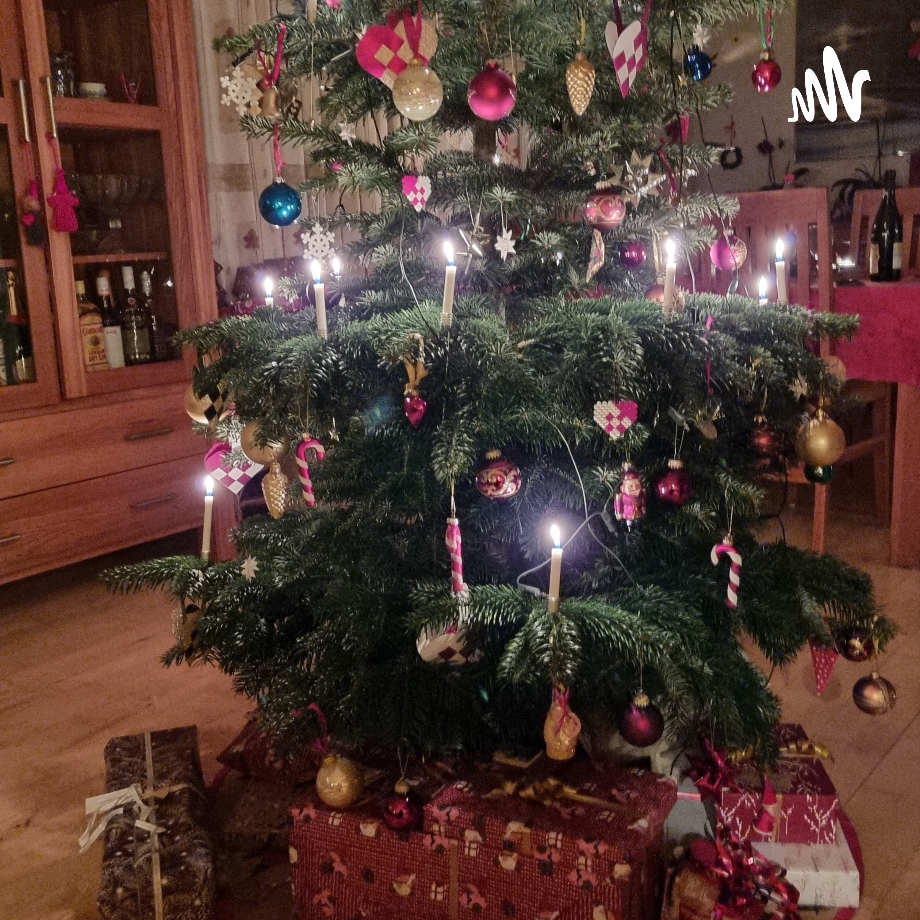 De Særlige Pladser. På Godt og ondt. Og Min Fremtid Efter Retsmøde 4 Februar 2021 af Jesper Kahr