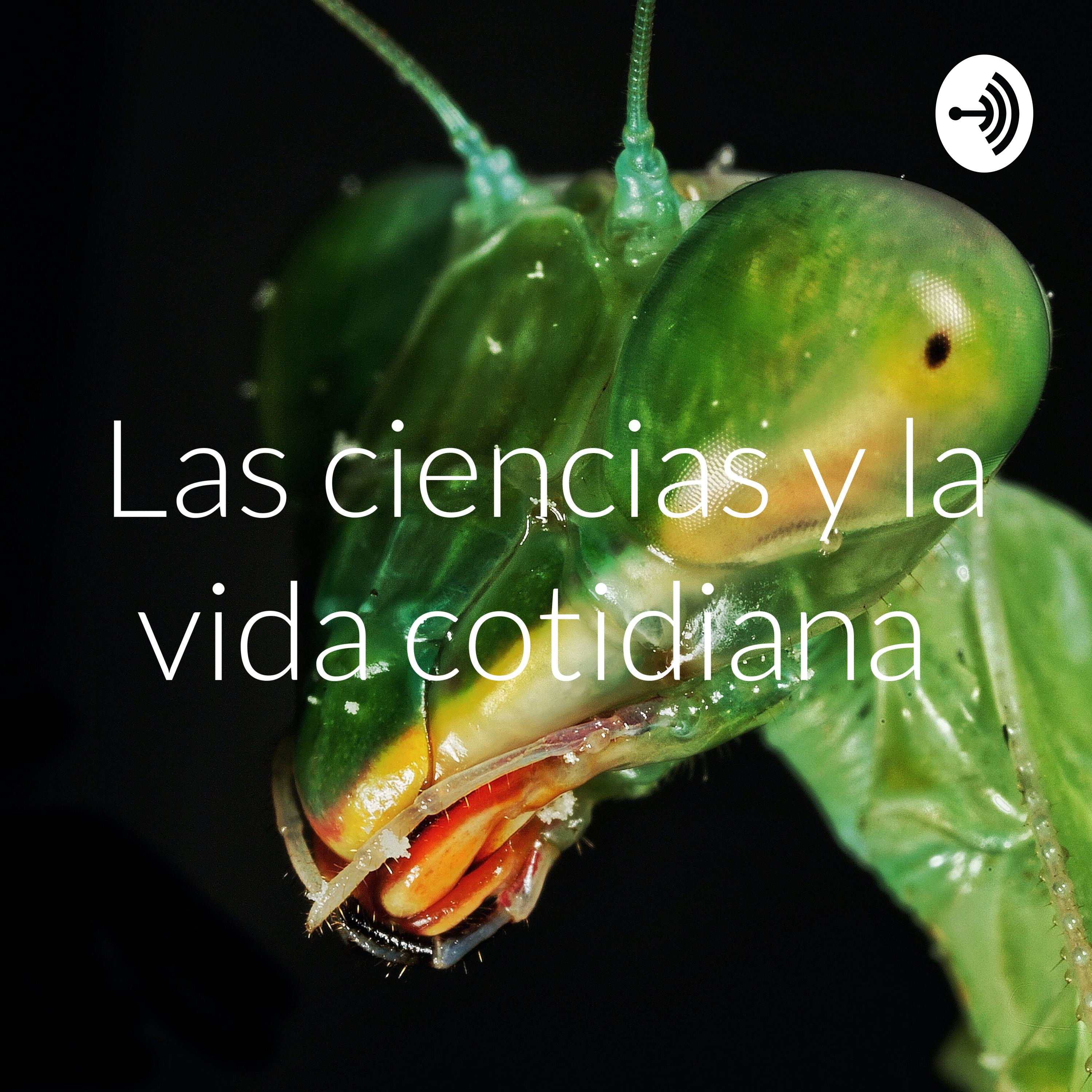 Las ciencias y la vida cotidiana