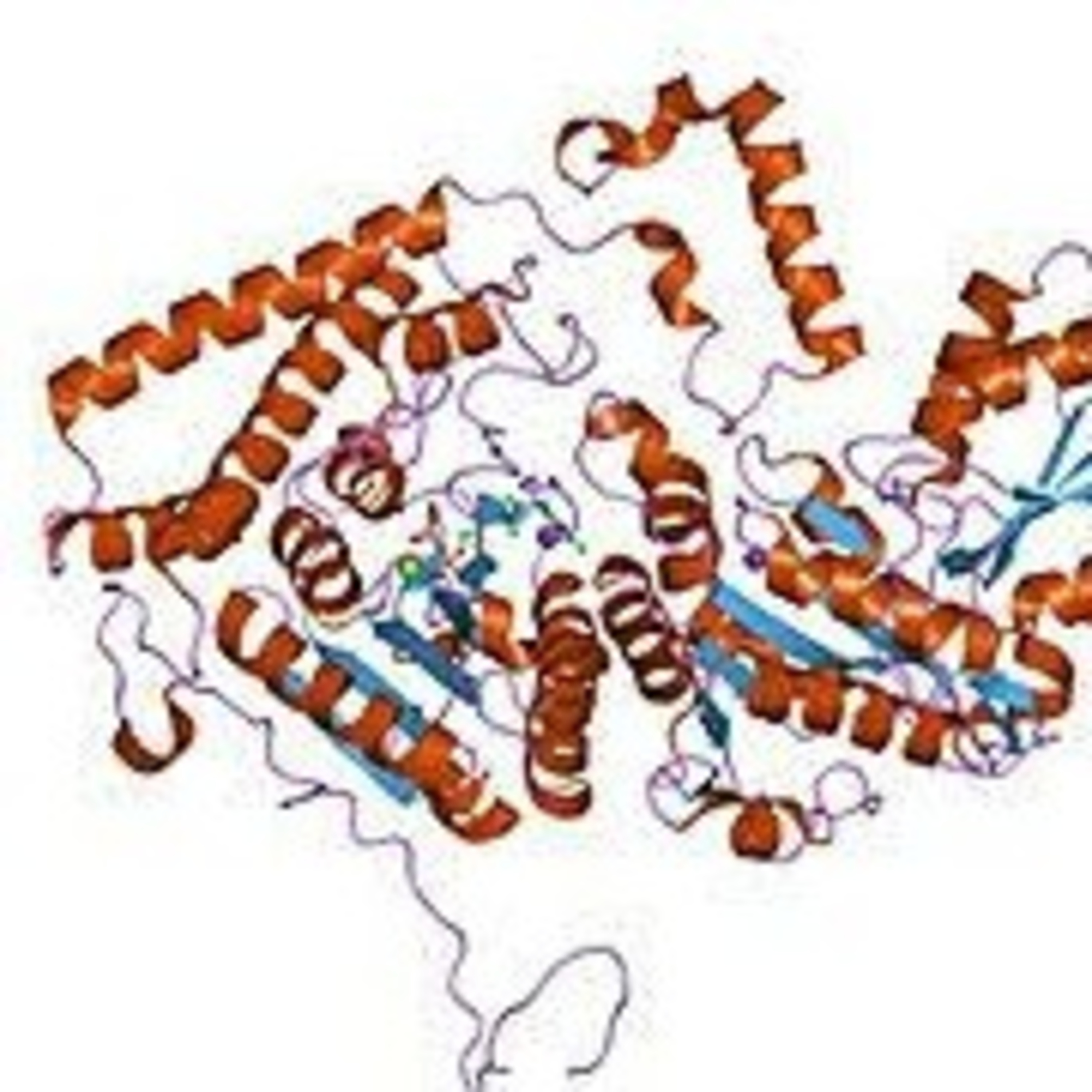 Aciduria Oxoglutarica