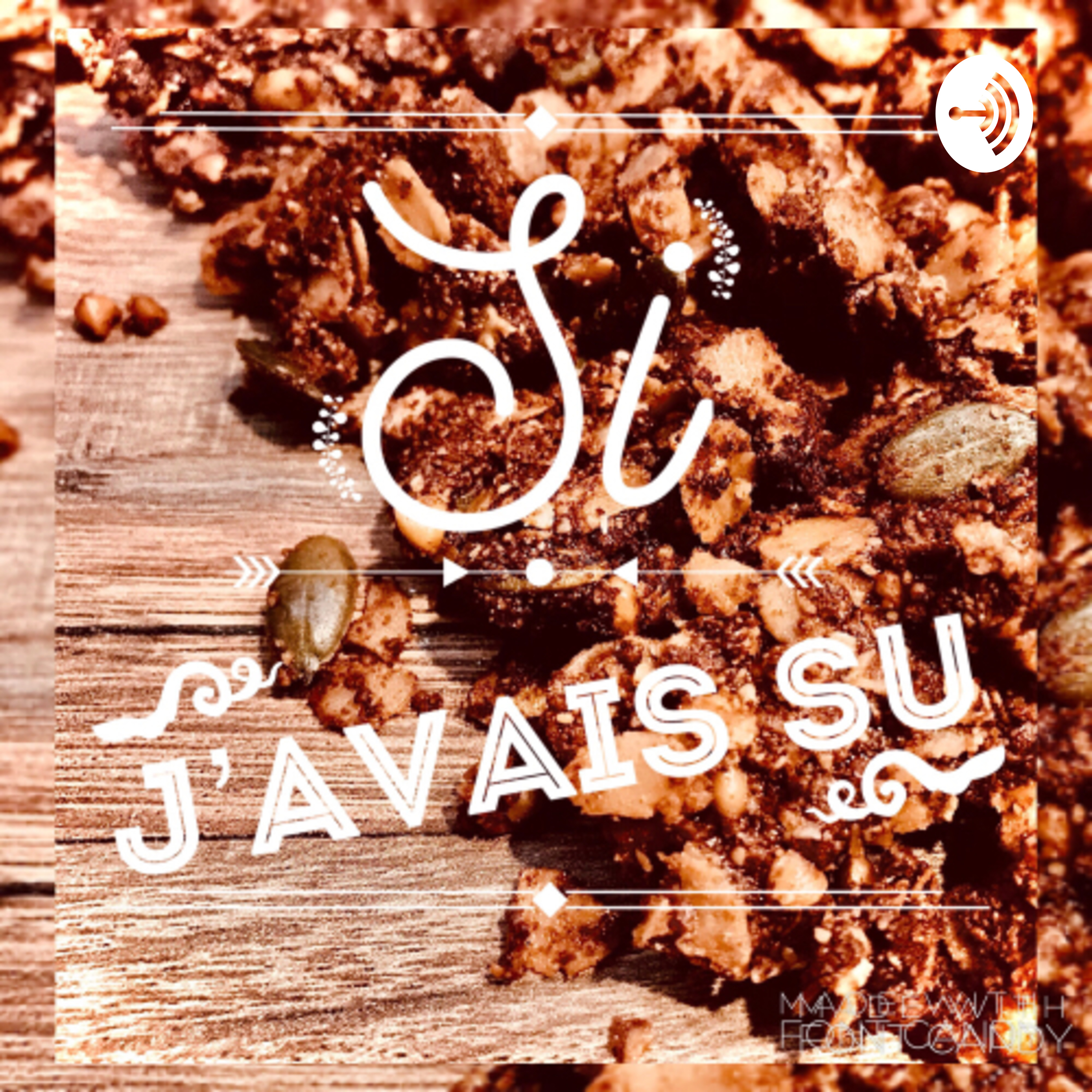 Logo of the podcast Si j’avais su Podcast Si j’avais su