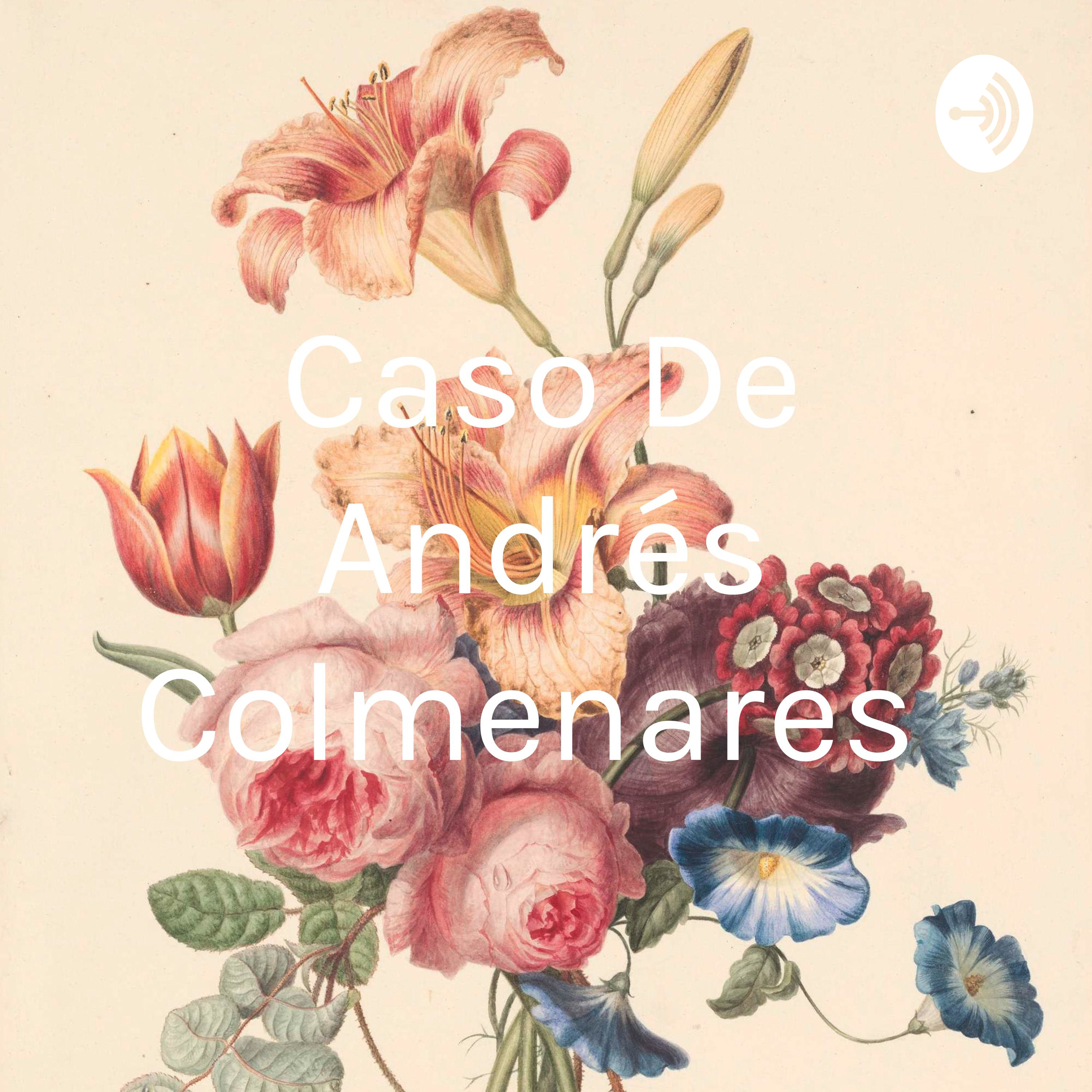 Caso De Andrés Colmenares 