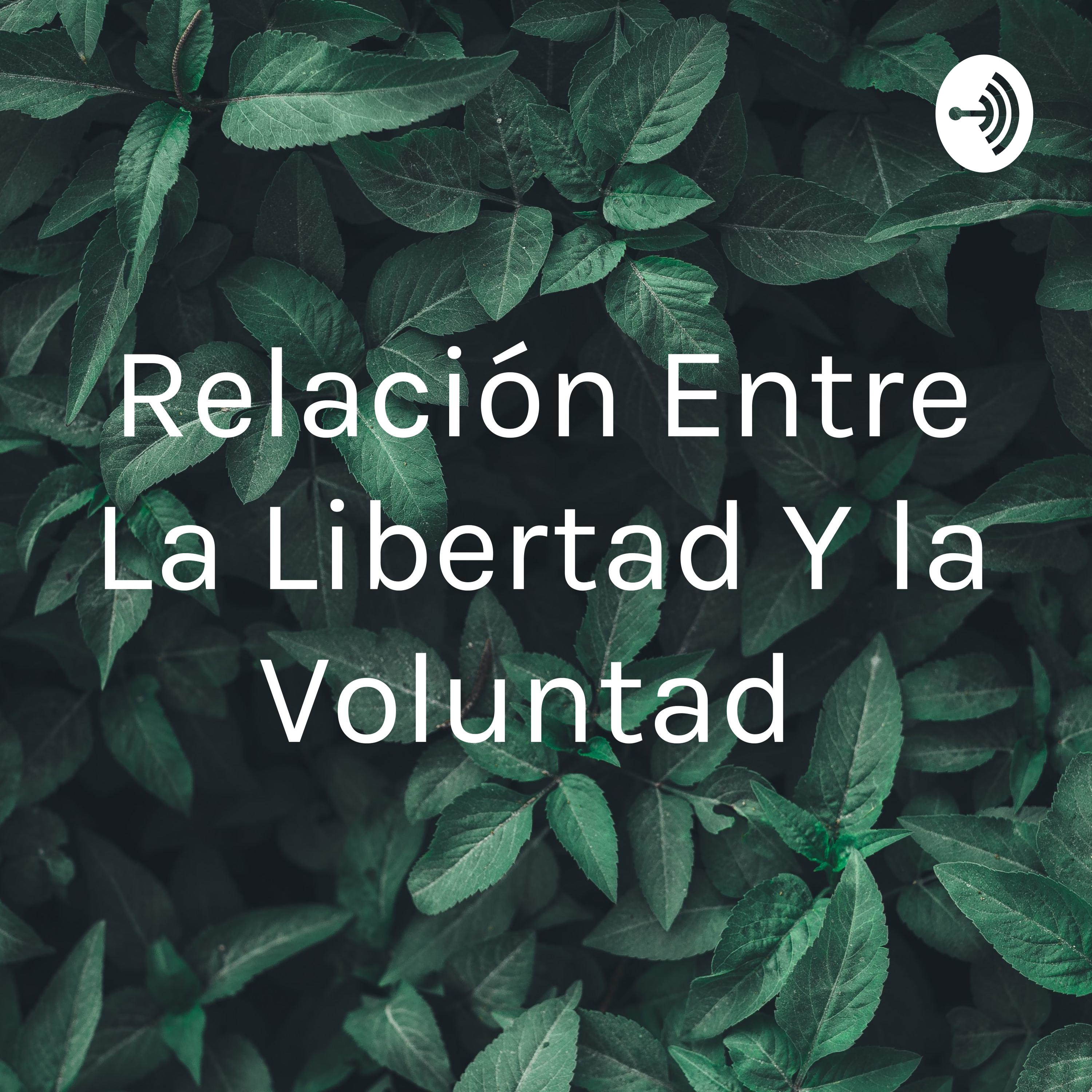 Relación Entre La Libertad Y la Voluntad