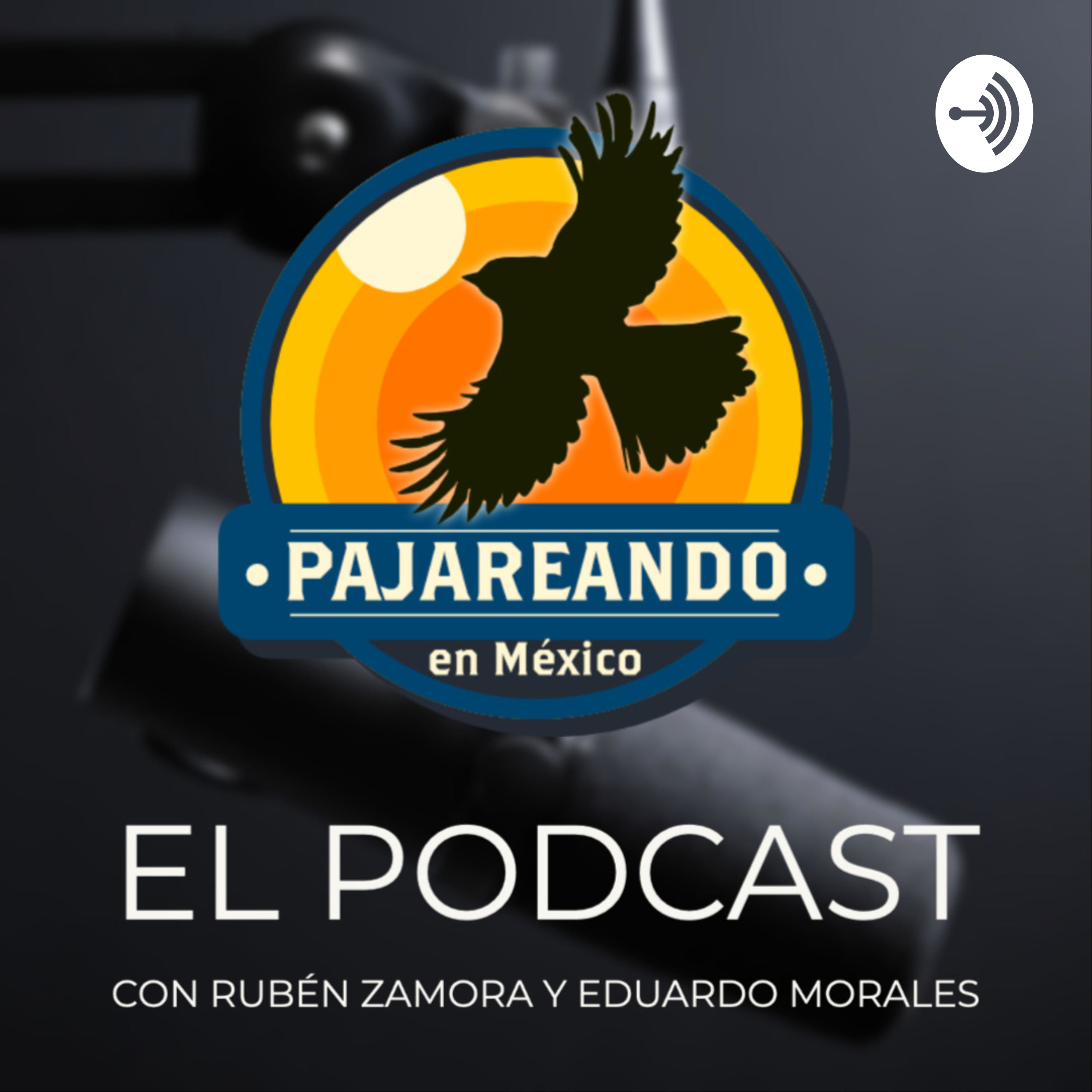 Portada de Pajareando en México