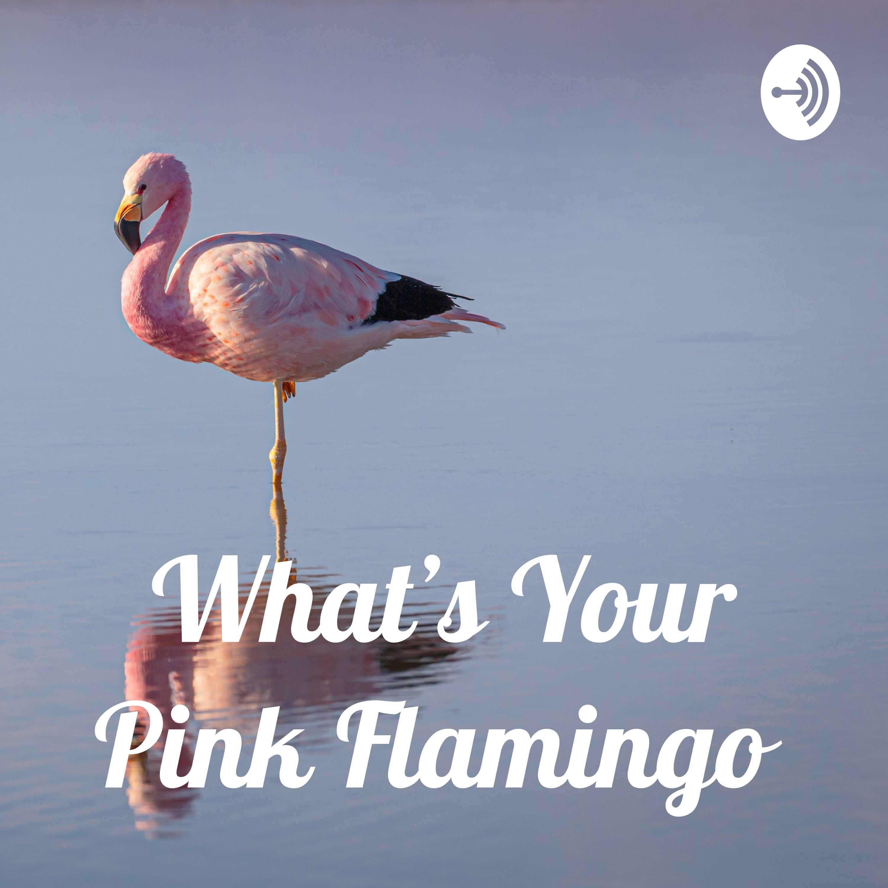 What’s Your Pink Flamingo